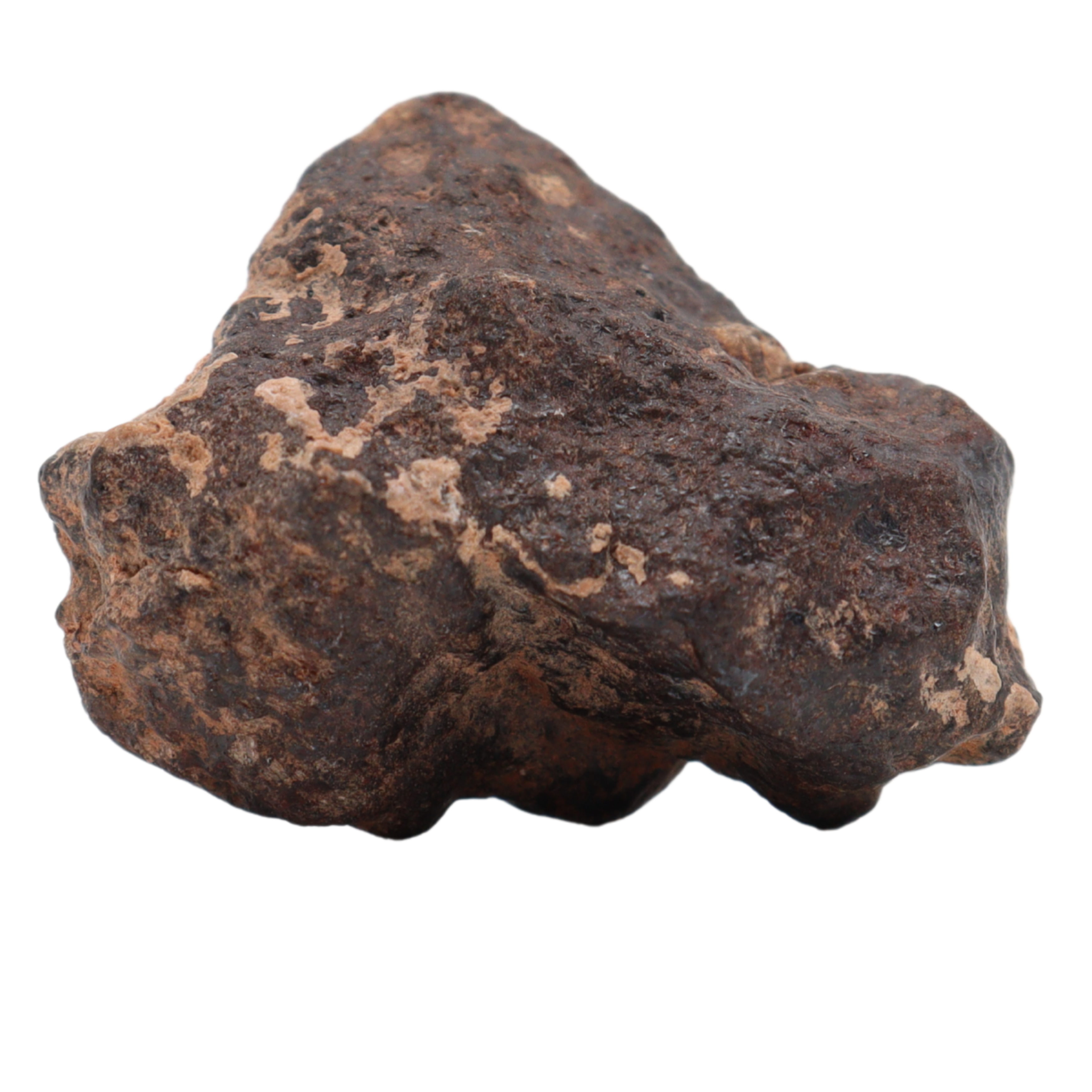 Rafsa 007 Meteorite Plutonic Angrite (13 g). - MBS meteorite 