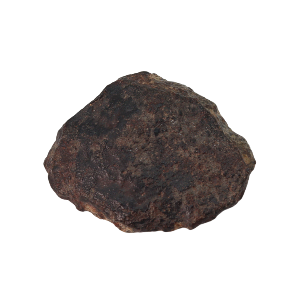 NWA 869 Meteorite Ordinary Chondrite Regolith Breccia (4.4 g) - MBS meteorite 