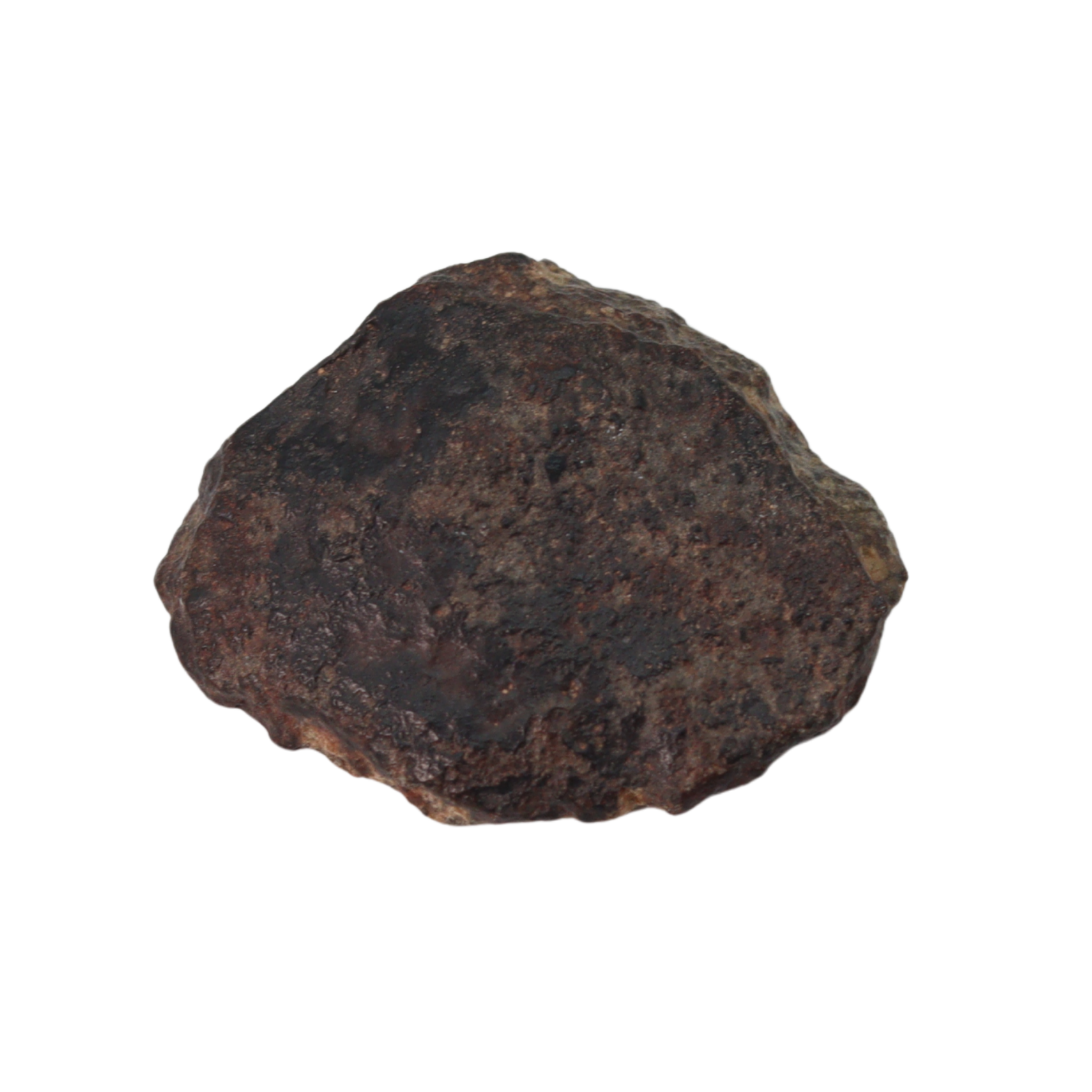 NWA 869 Meteorite Ordinary Chondrite Regolith Breccia (4.4 g) - MBS meteorite 