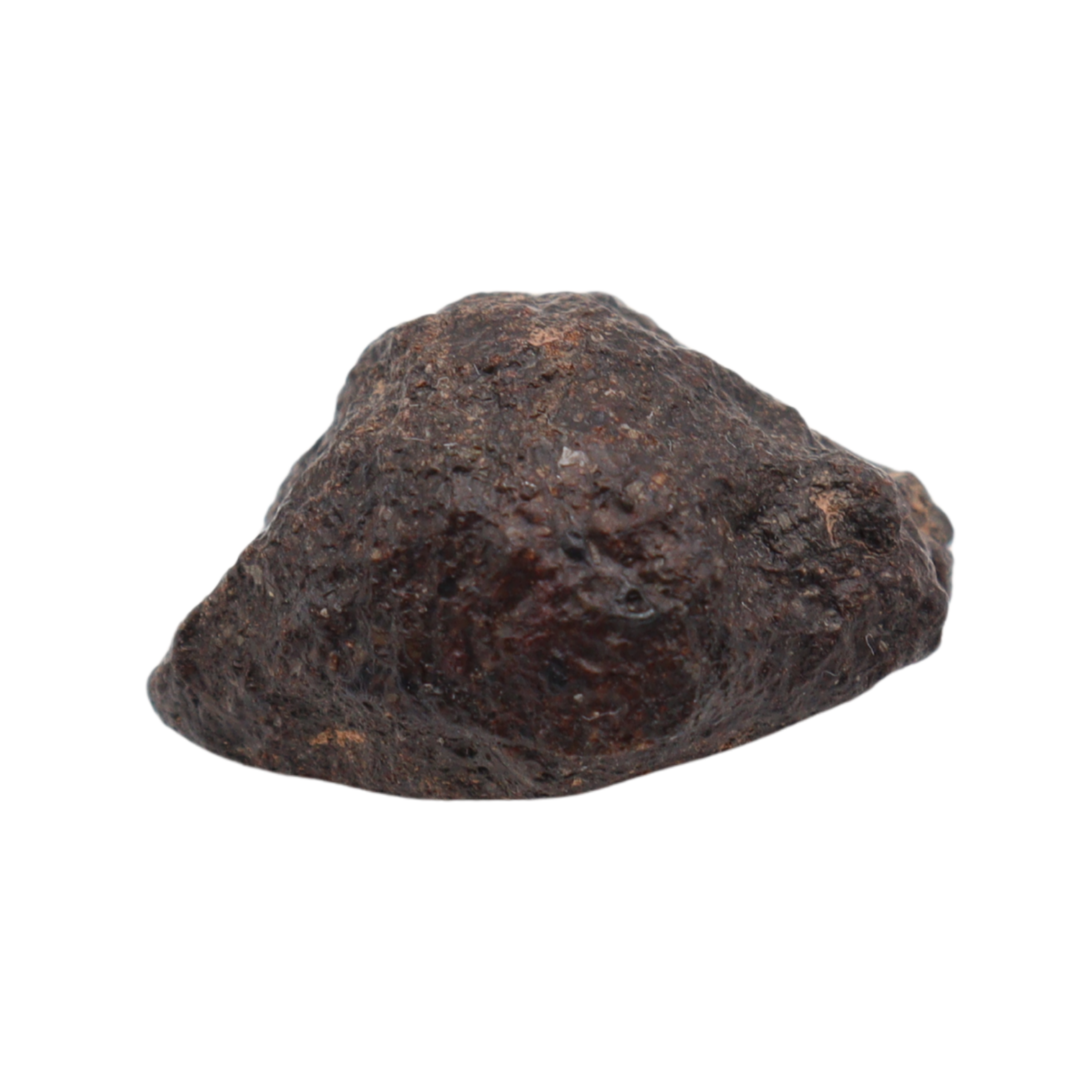 NWA 16208 Meteorite Winonaite Primitive Achondrite (4.55 g). - MBS meteorite 