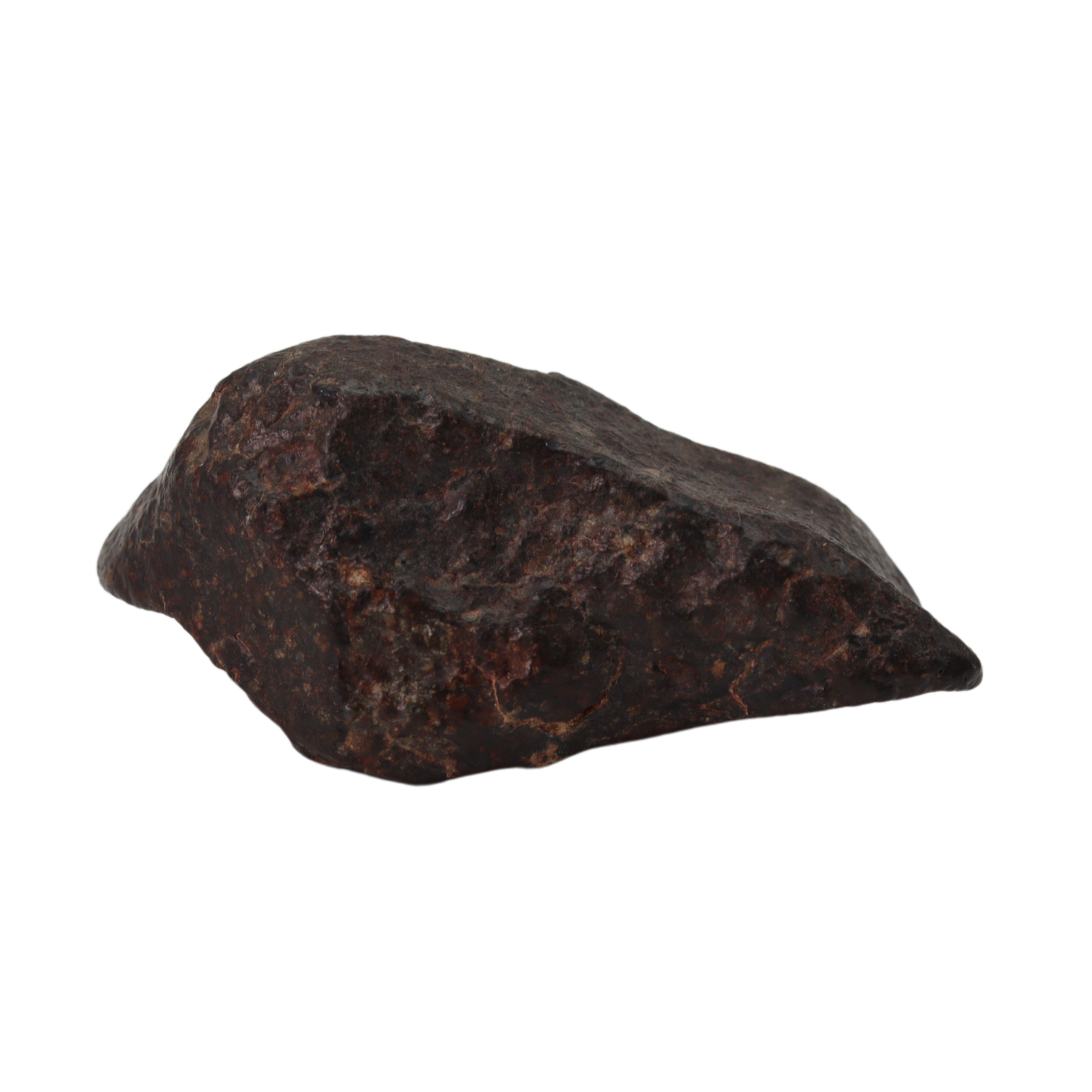 NWA 869 Meteorite Ordinary Chondrite Regolith Breccia (24.00 g). - MBS meteorite 