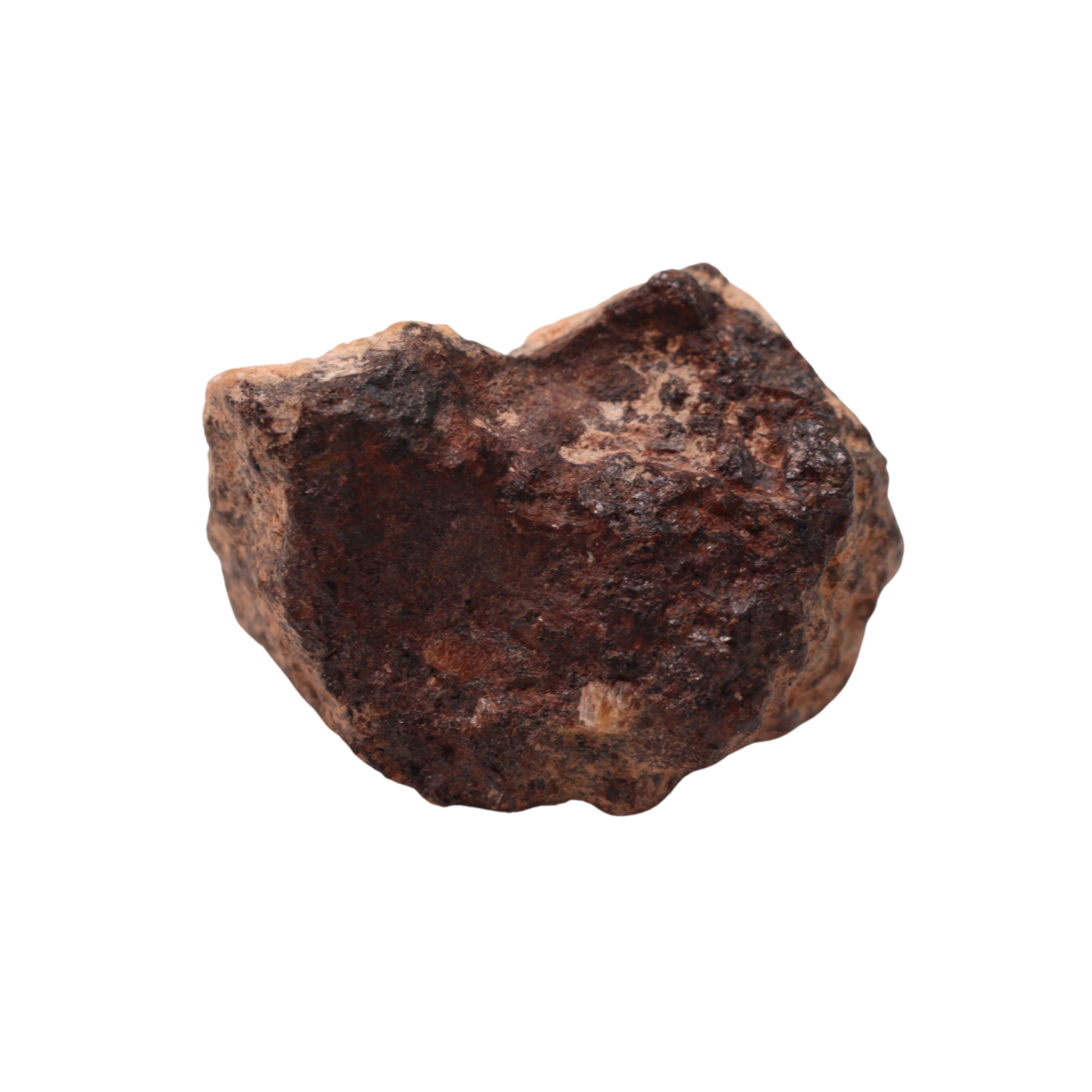 Rafsa 007 Meteorite Angrite Achondrite (3.2 g) - MBS meteorite 