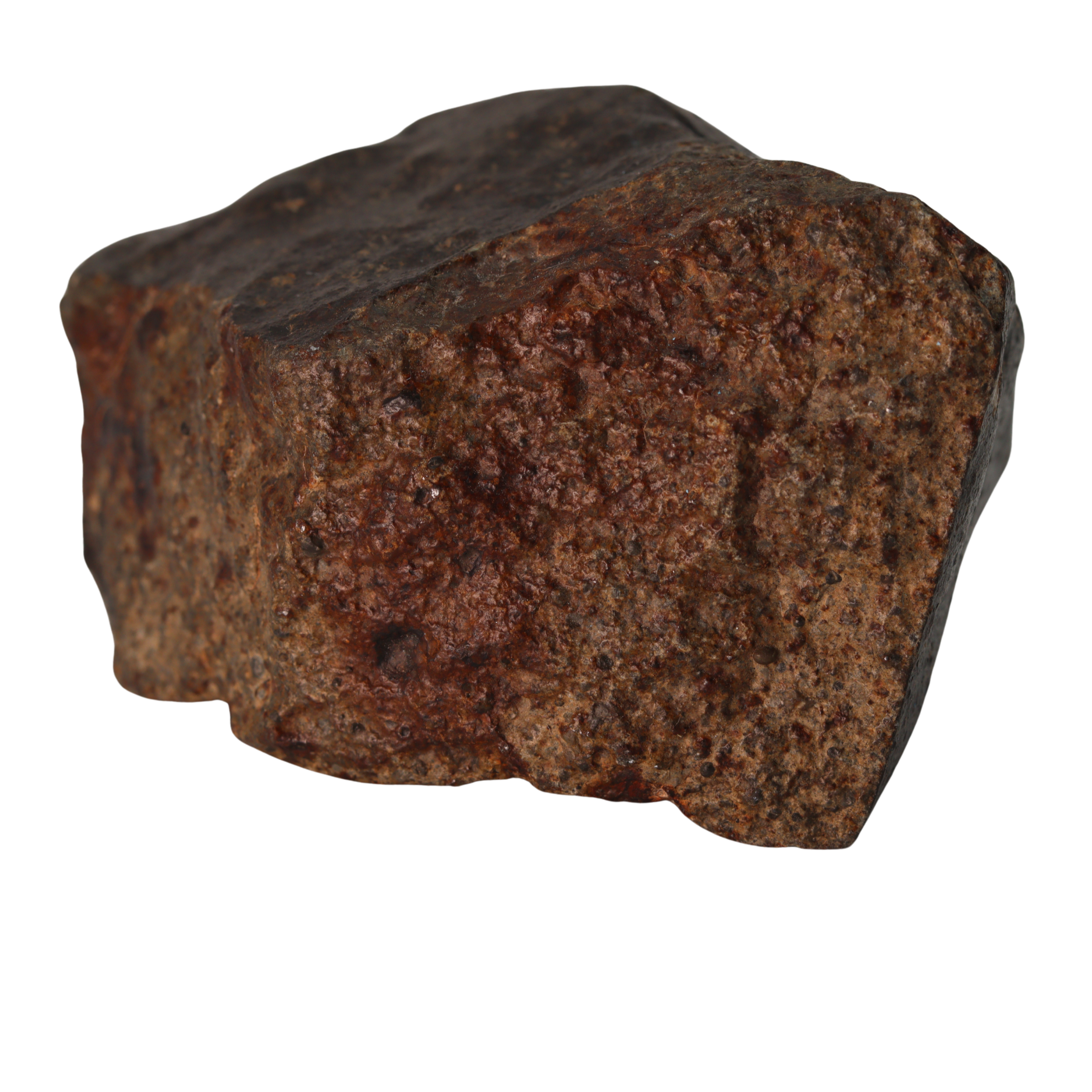 NWA 13281 Meteorite Massive L5 Chondrite Cabinet Specimen (781 g). - MBS meteorite 