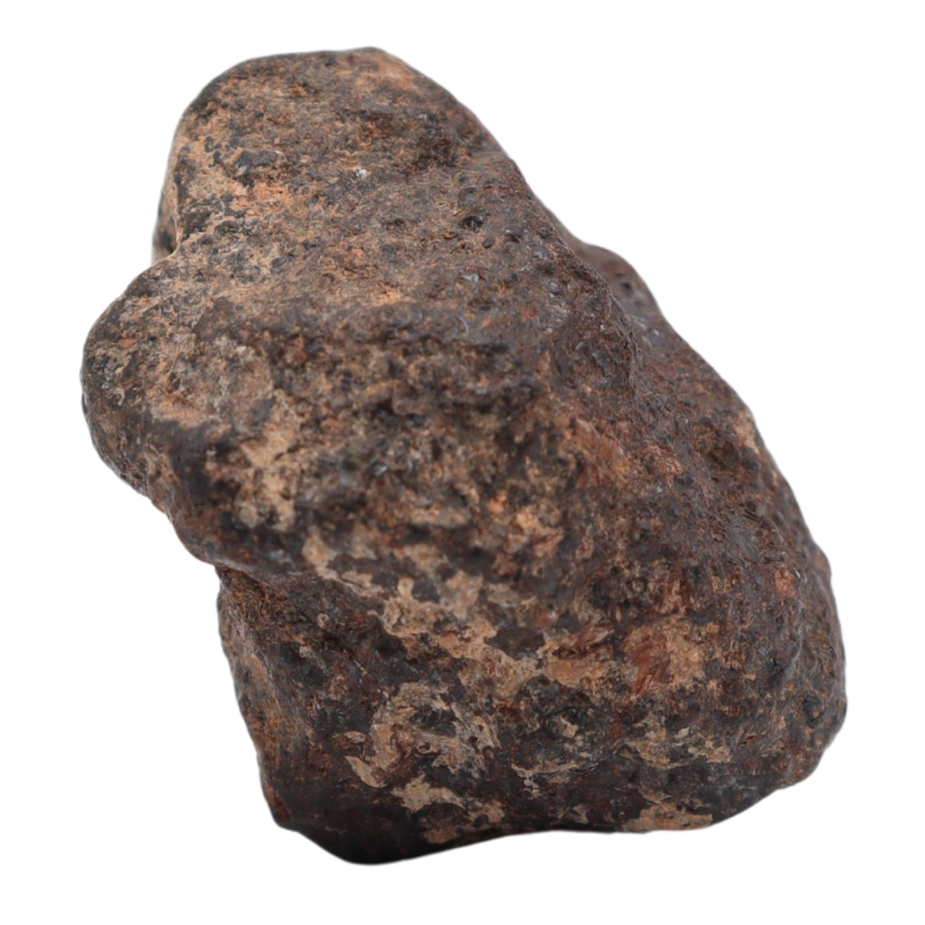 Rafsa 007 Meteorite Plutonic Angrite (17.3 g) - MBS meteorite 