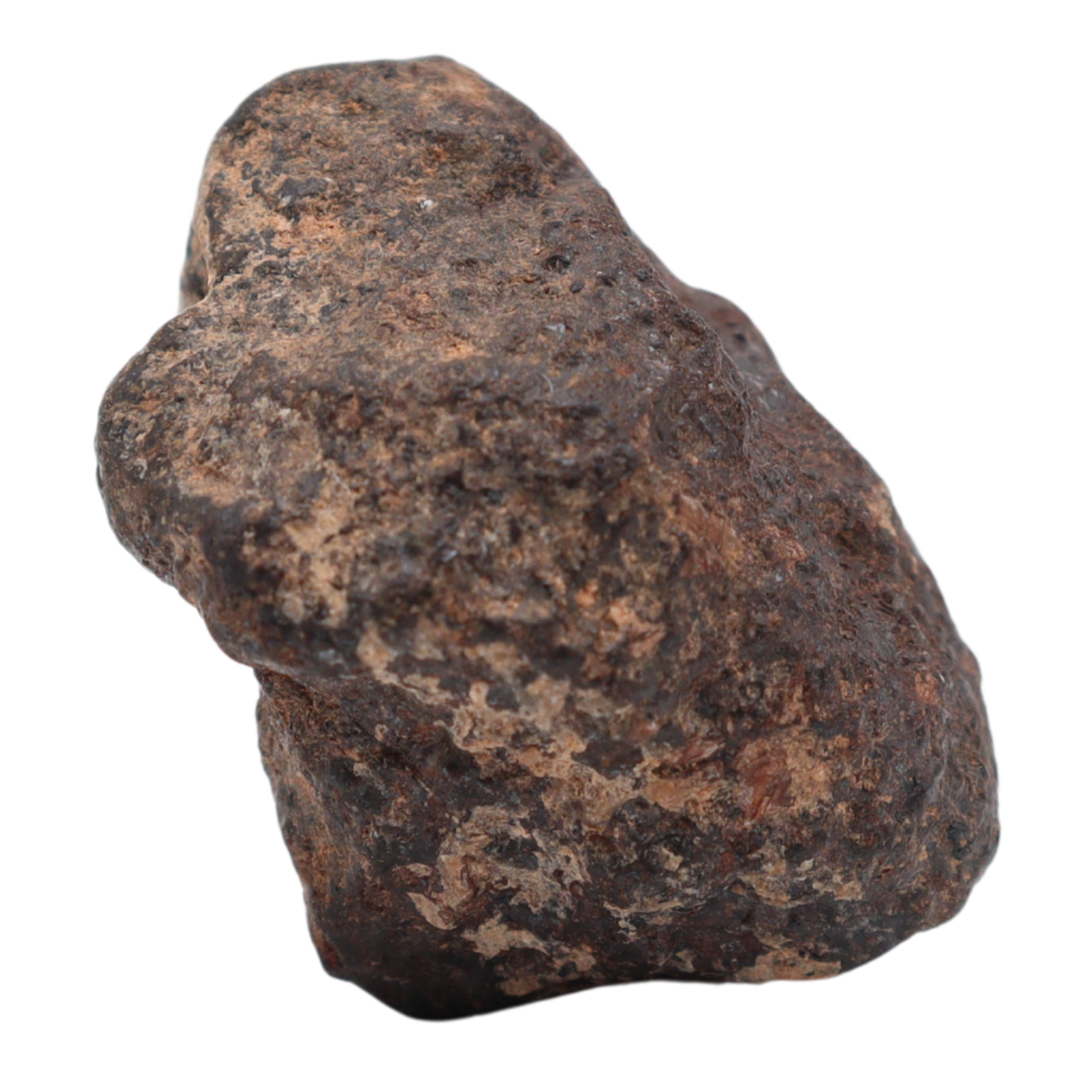 Rafsa 007 Meteorite Plutonic Angrite (17.3 g) - MBS meteorite 