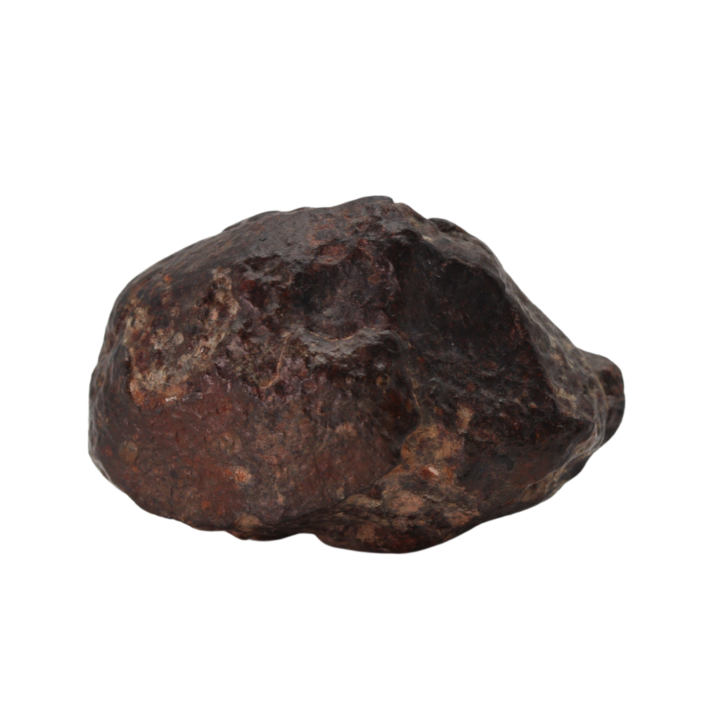 NWA 869 Meteorite - Famous L3-6 Regolith Breccia (42.09 g). - MBS meteorite 