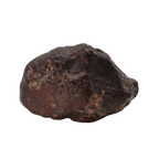 NWA 869 Meteorite - Famous L3-6 Regolith Breccia (42.09 g). - MBS meteorite 