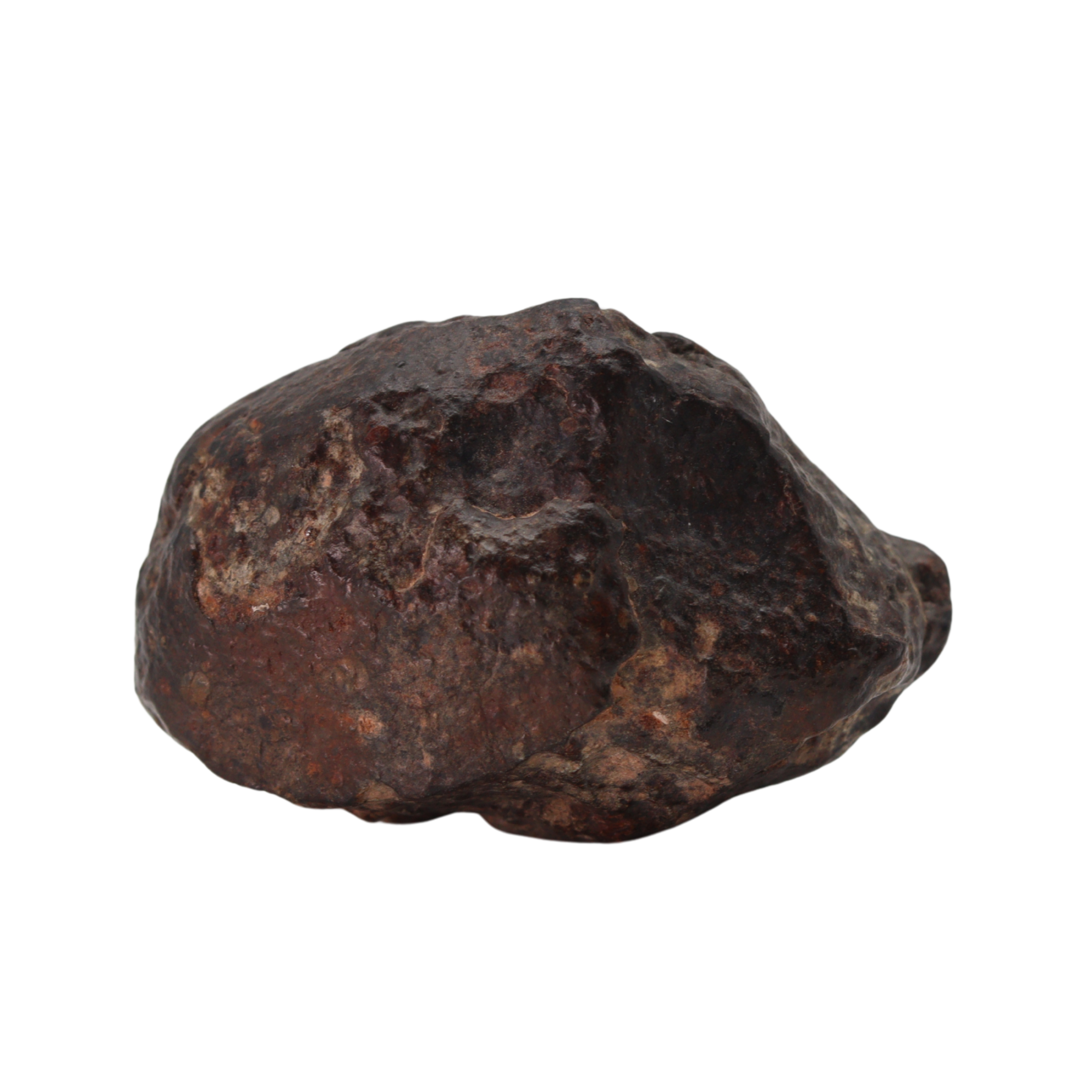 NWA 869 Meteorite - Famous L3-6 Regolith Breccia (42.09 g). - MBS meteorite 