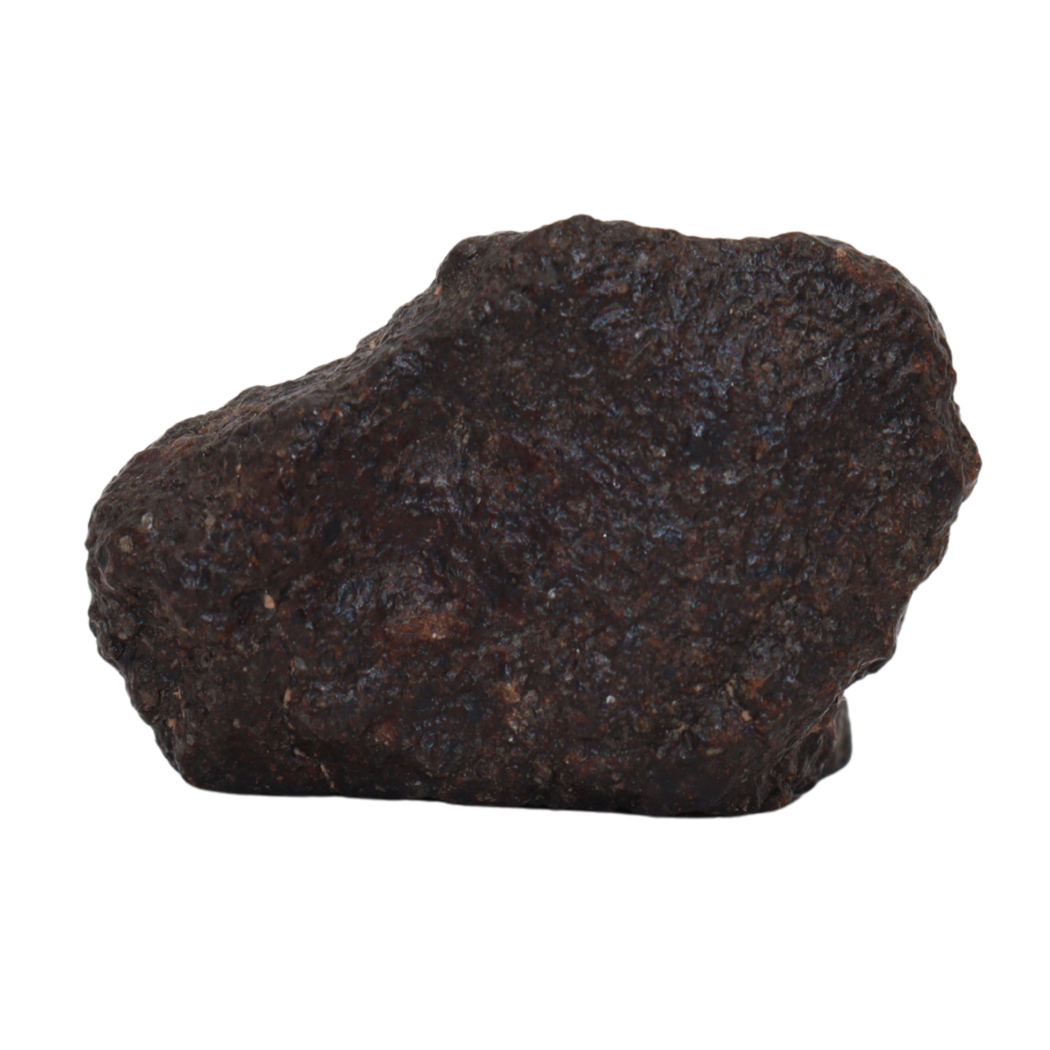 NWA 16208 - Rare Primitive Achondrite Winonaite (9.9 g). - MBS meteorite 