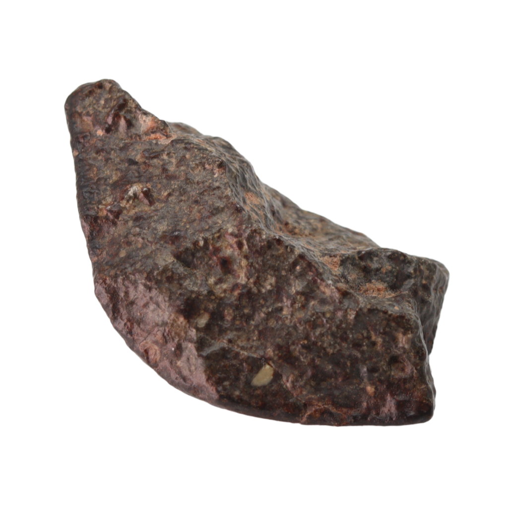 NWA 869 Meteorite L3-6 Regolith Breccia (23.69 g). - MBS meteorite 