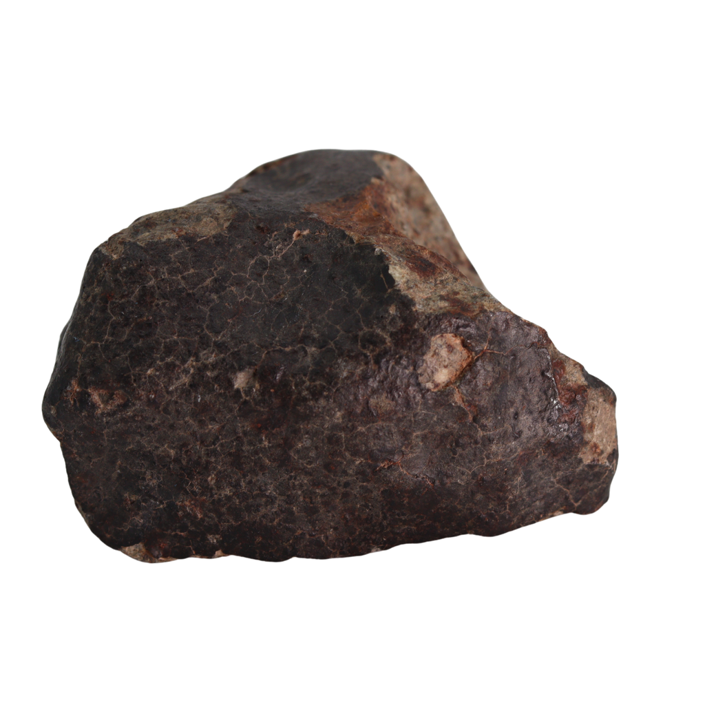 NWA 13281 Meteorite L5 Chondrite Hand Specimen (115 g). - MBS meteorite 