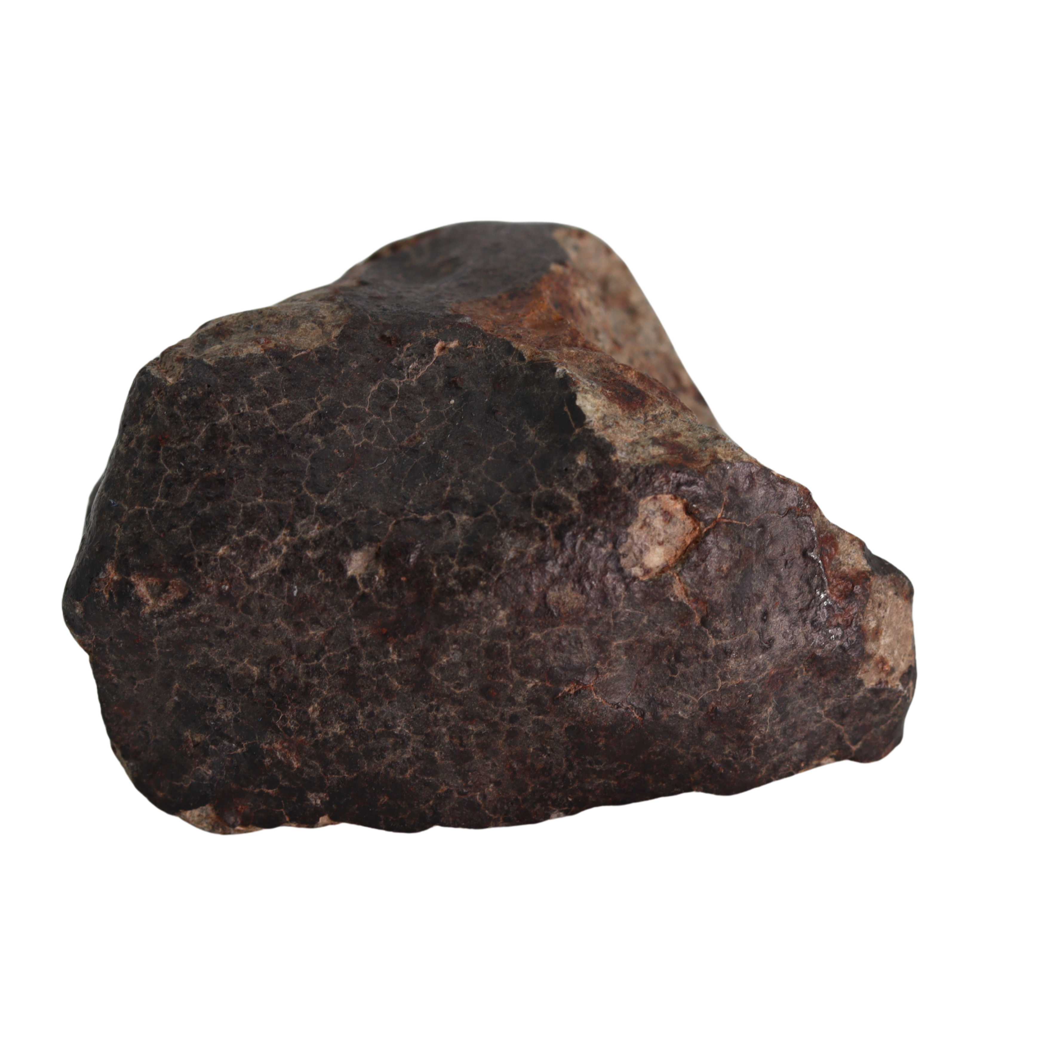 NWA 13281 Meteorite L5 Chondrite Hand Specimen (115 g). - MBS meteorite 