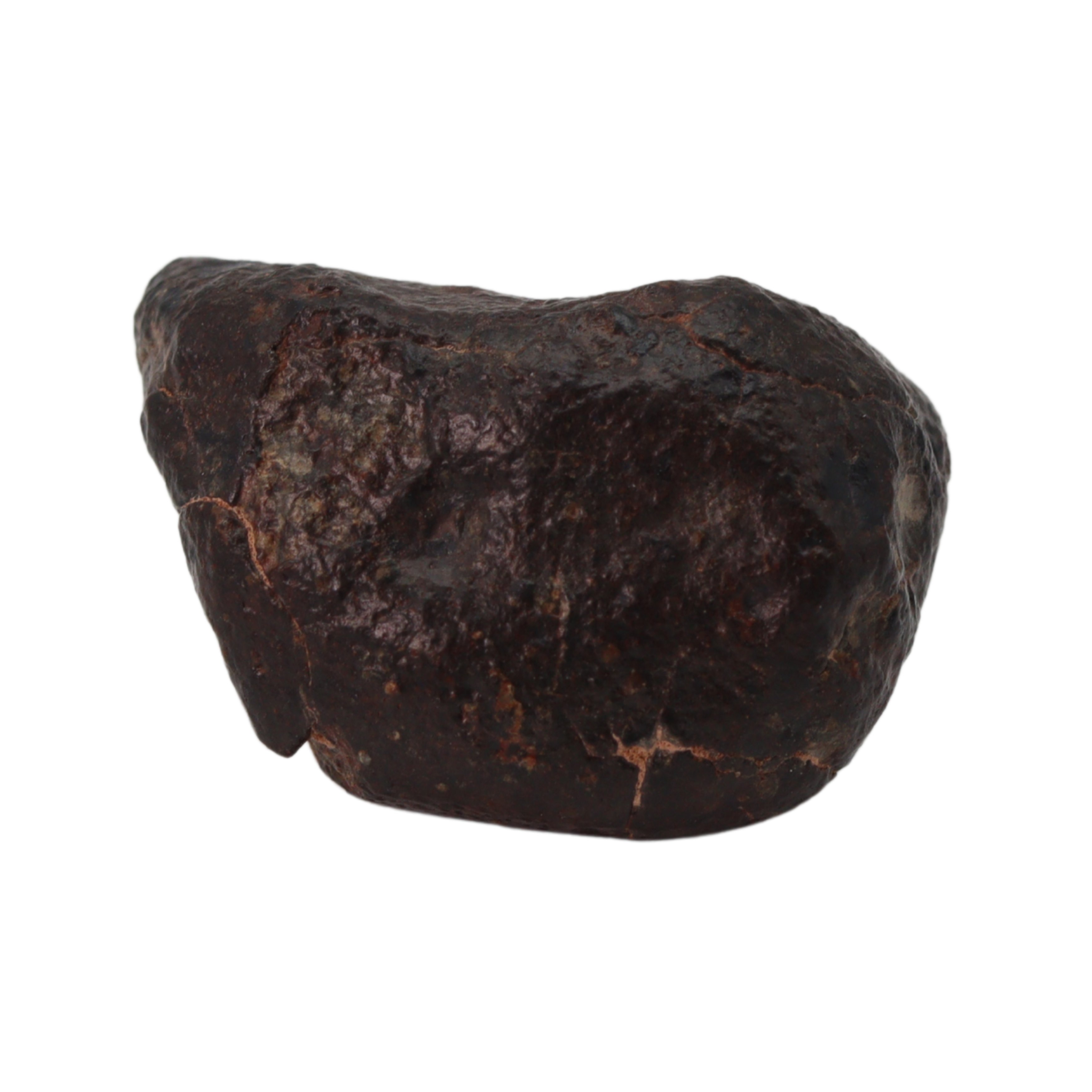 NWA 869 Meteorite Ordinary Chondrite Regolith Breccia (22.11 g) - MBS meteorite 