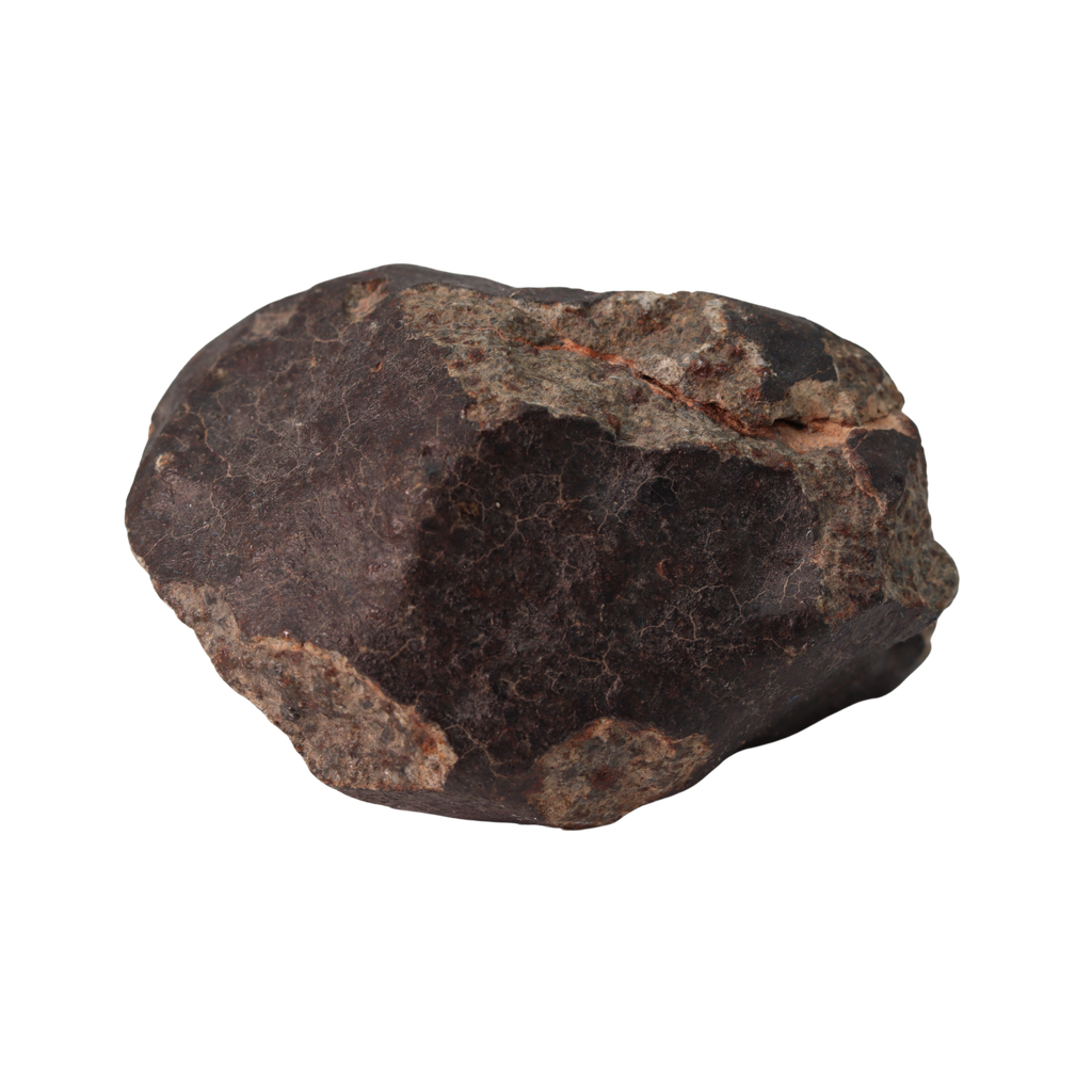 NWA 13281 Meteorite Ordinary Chondrite L5 (250 g) - MBS meteorite 