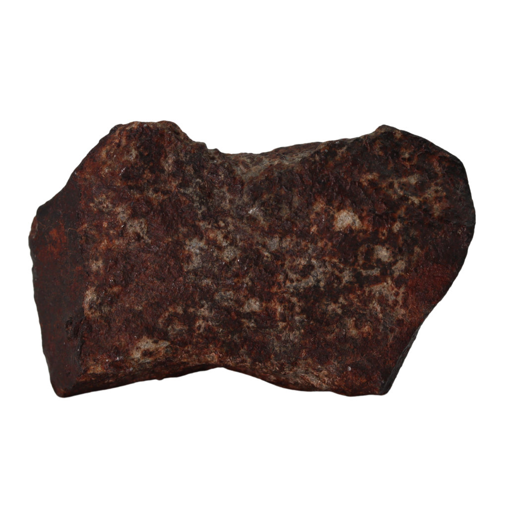 NWA 13281 Meteorite L5 Chondrite (50 g). - MBS meteorite 