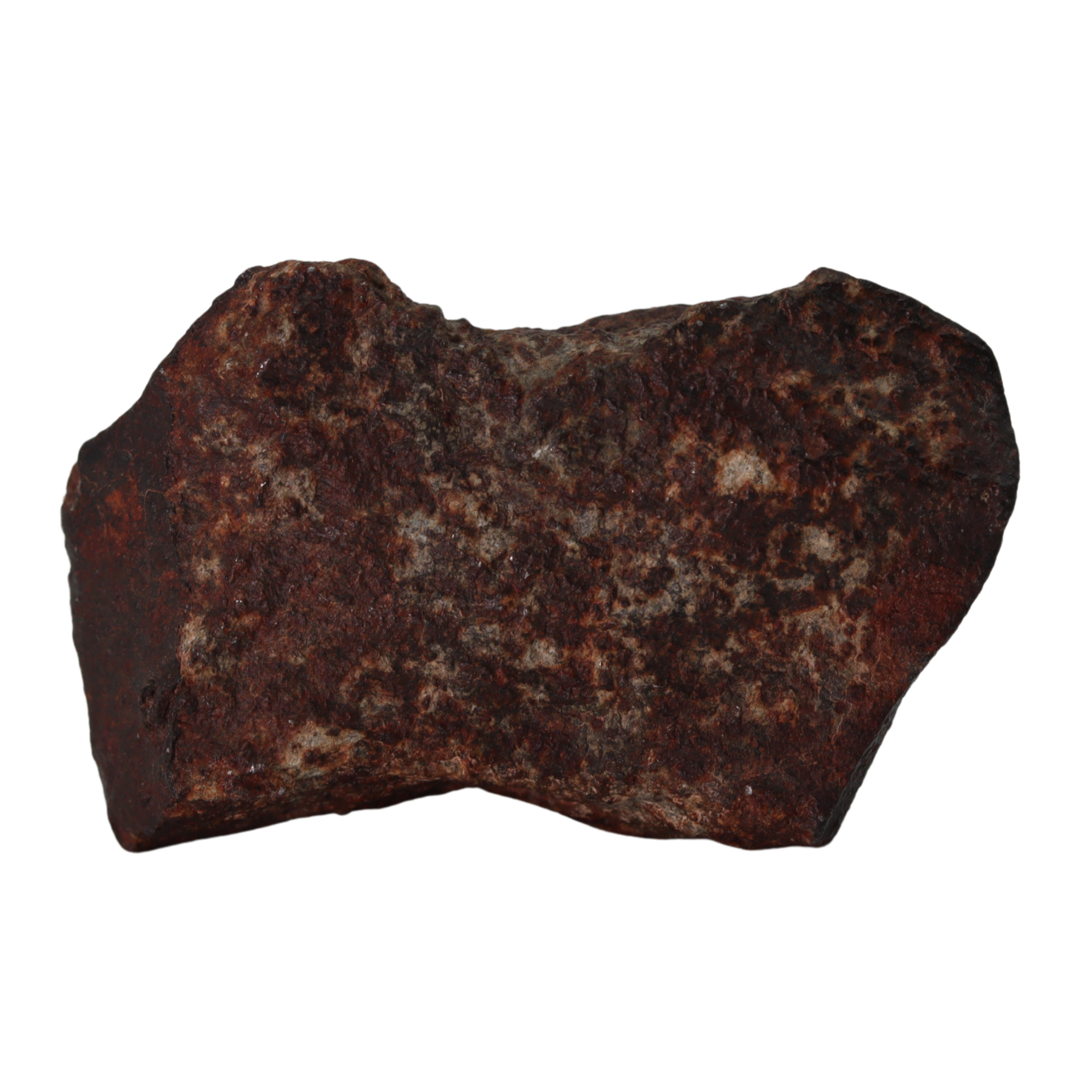 NWA 13281 Meteorite L5 Chondrite (50 g). - MBS meteorite 