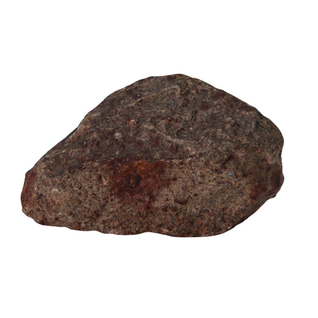 NWA 13281 Meteorite L5 Chondrite (110 g). - MBS meteorite 