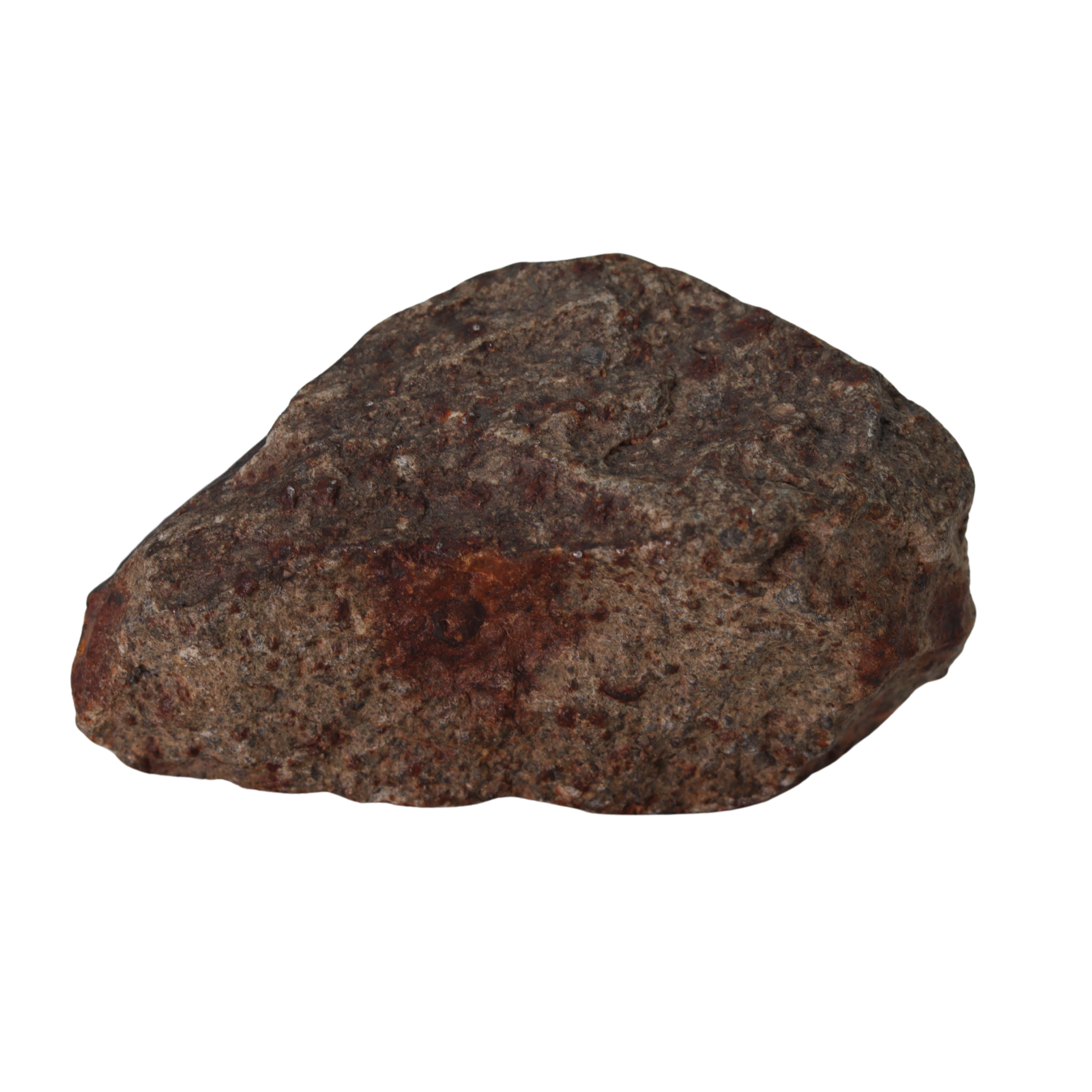 NWA 13281 Meteorite L5 Chondrite (110 g). - MBS meteorite 