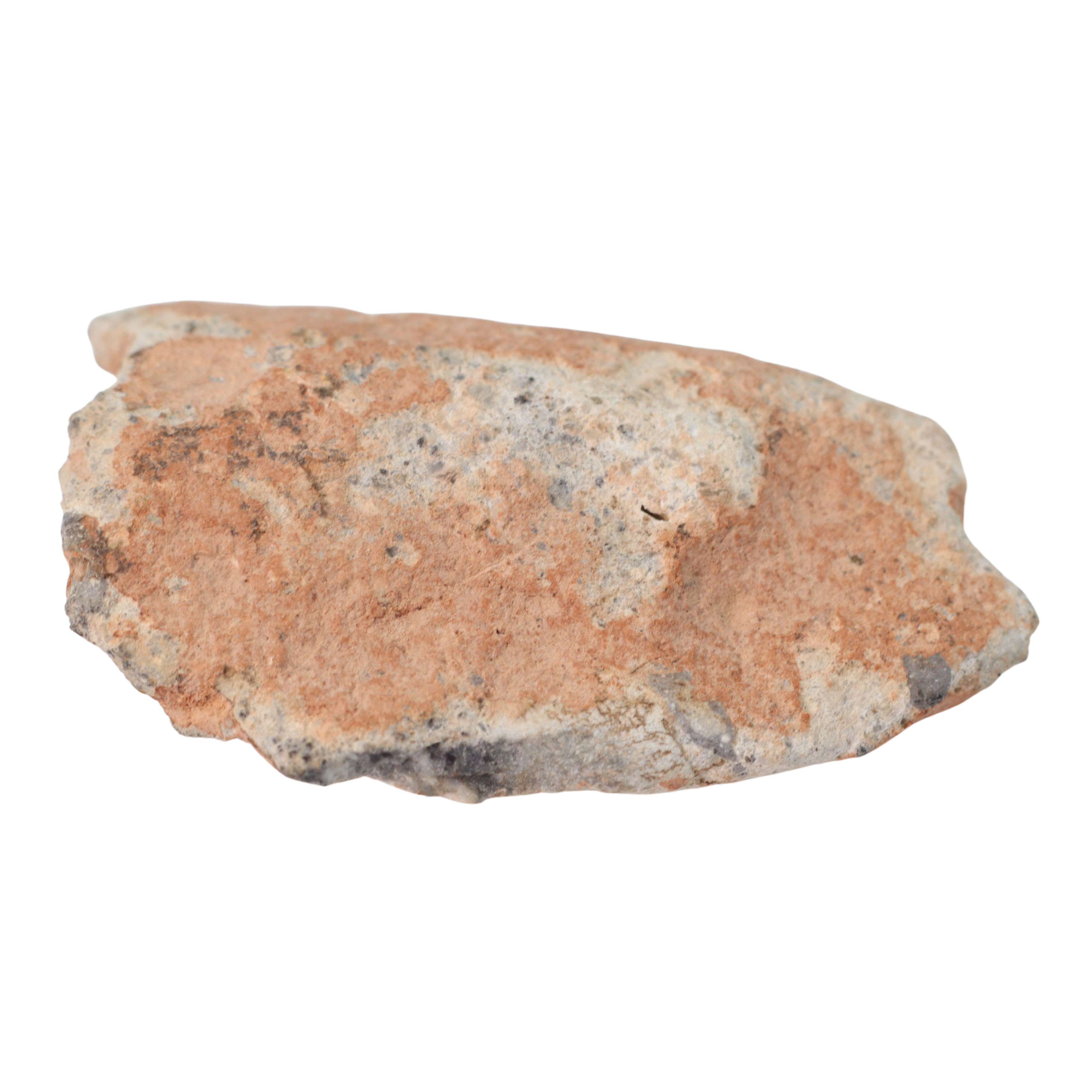 Bechar 003 Meteorite Lunar Feldspathic Breccia (10.2 g) - MBS meteorite 