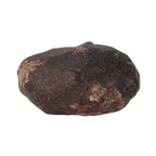NWA 13281 Meteorite Ordinary Chondrite L5 (109 g) - MBS meteorite 