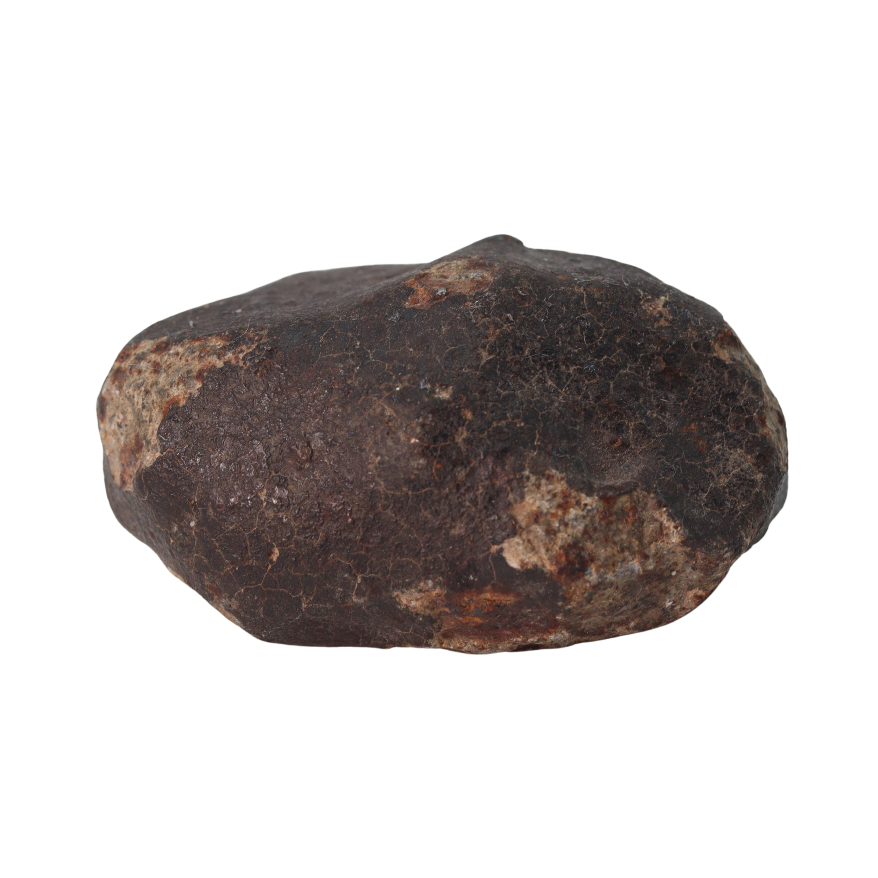 NWA 13281 Meteorite Ordinary Chondrite L5 (109 g) - MBS meteorite 