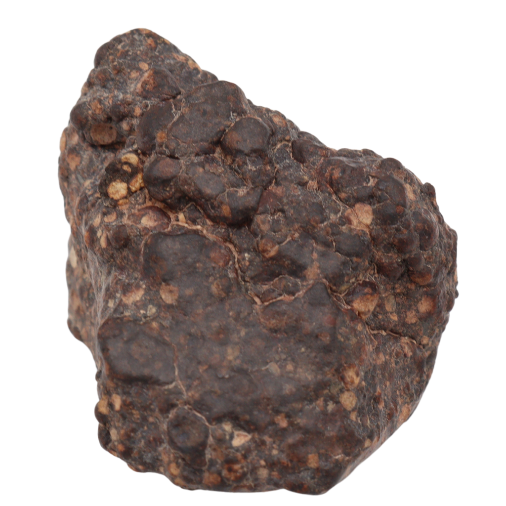 Erg Chech 008 Meteorite Carbonaceous Chondrite CR2 38.9 g - MBS meteorite 
