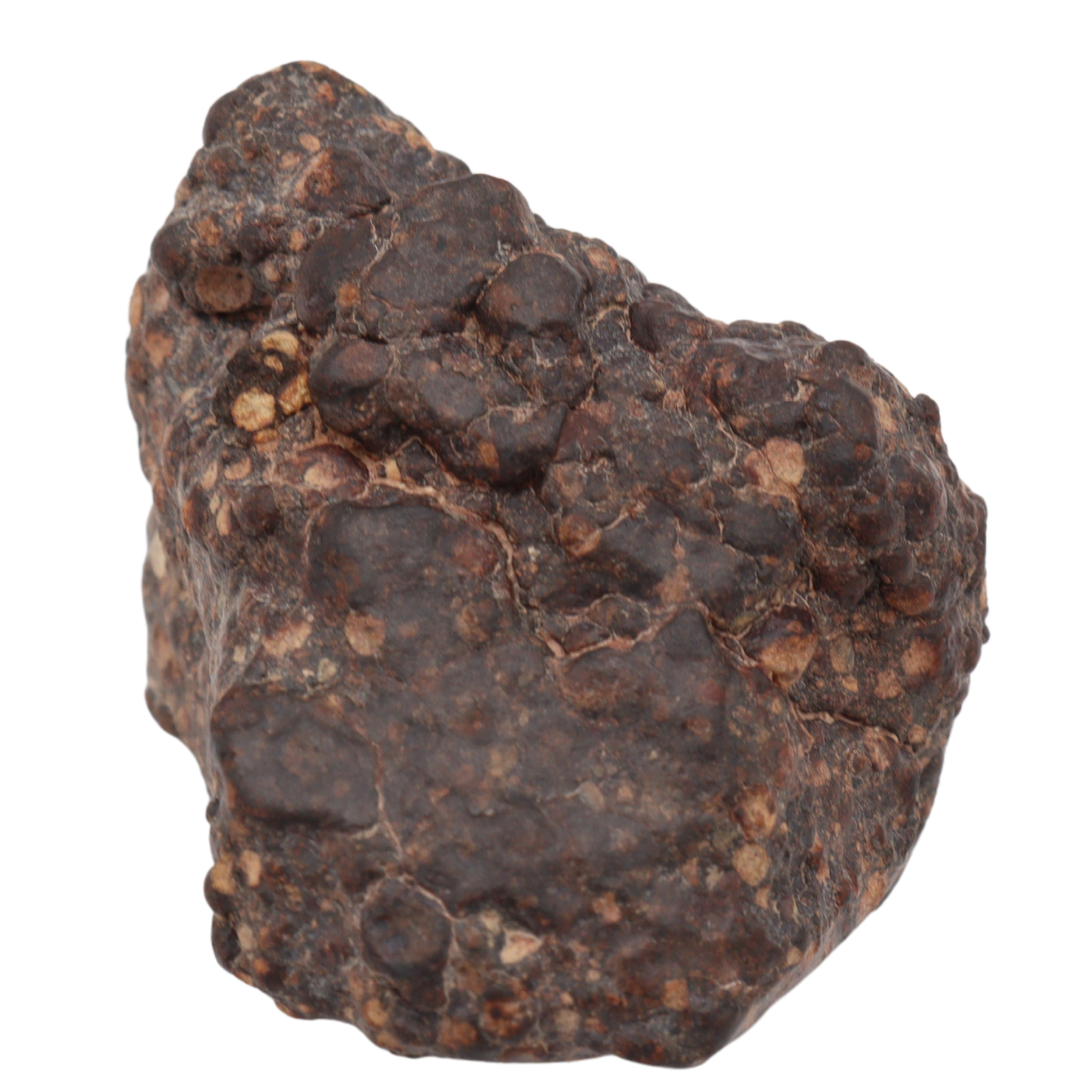 Erg Chech 008 Meteorite Carbonaceous Chondrite CR2 38.9 g - MBS meteorite 