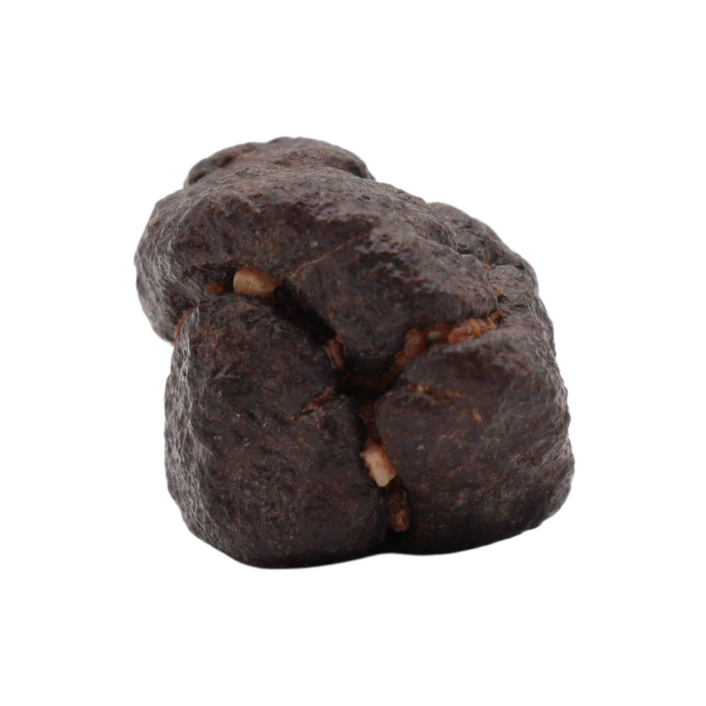 NWA 16208 Meteorite Winonaite Primitive Achondrite (8.66 g). - MBS meteorite 