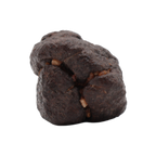 NWA 16208 Meteorite Winonaite Primitive Achondrite (8.66 g). - MBS meteorite 