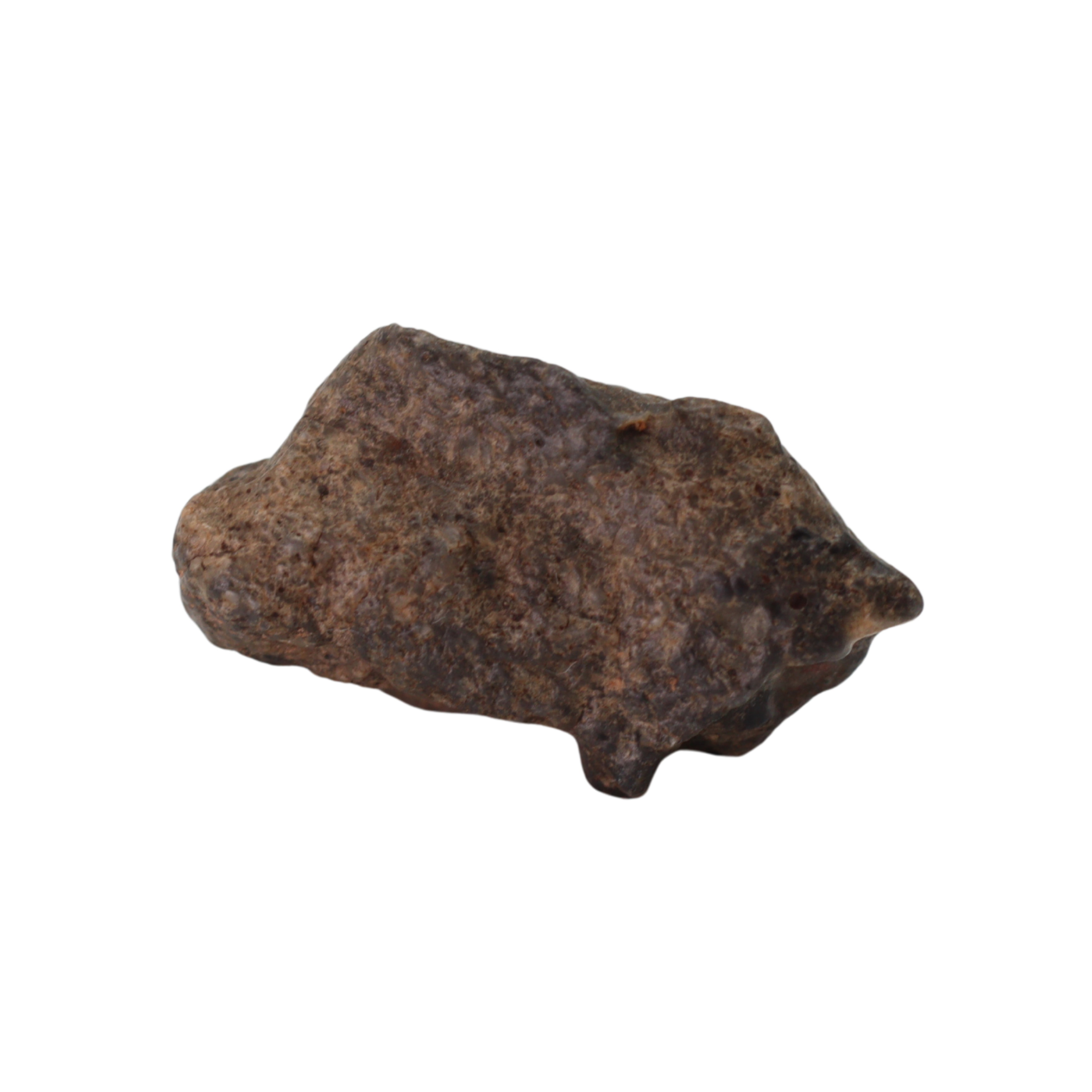 Bechar 003 Meteorite Lunar Feldspathic Breccia (2.4 g). - MBS meteorite 