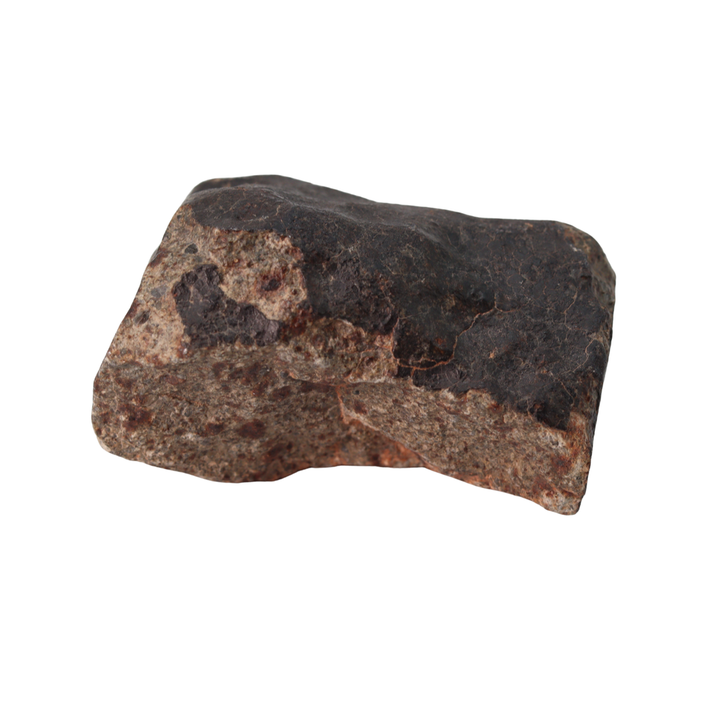 NWA 13281 Meteorite Ordinary Chondrite L5 (285 g) - MBS meteorite 