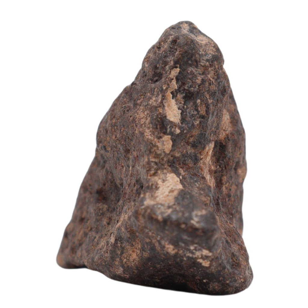 Rafsa 007 Meteorite Plutonic Angrite (10.8 g) - MBS meteorite 