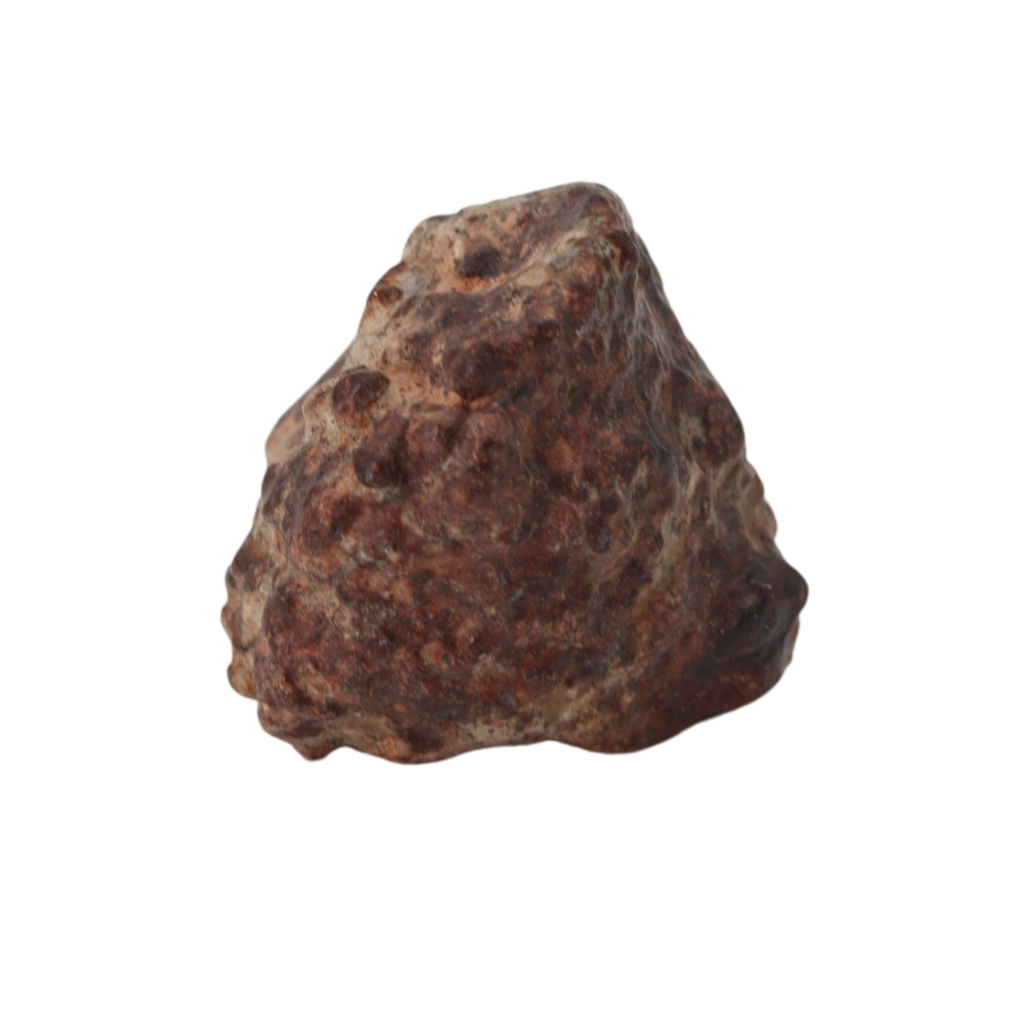 NWA 869 Meteorite Ordinary Chondrite Regolith Breccia (8.64 g) - MBS meteorite 