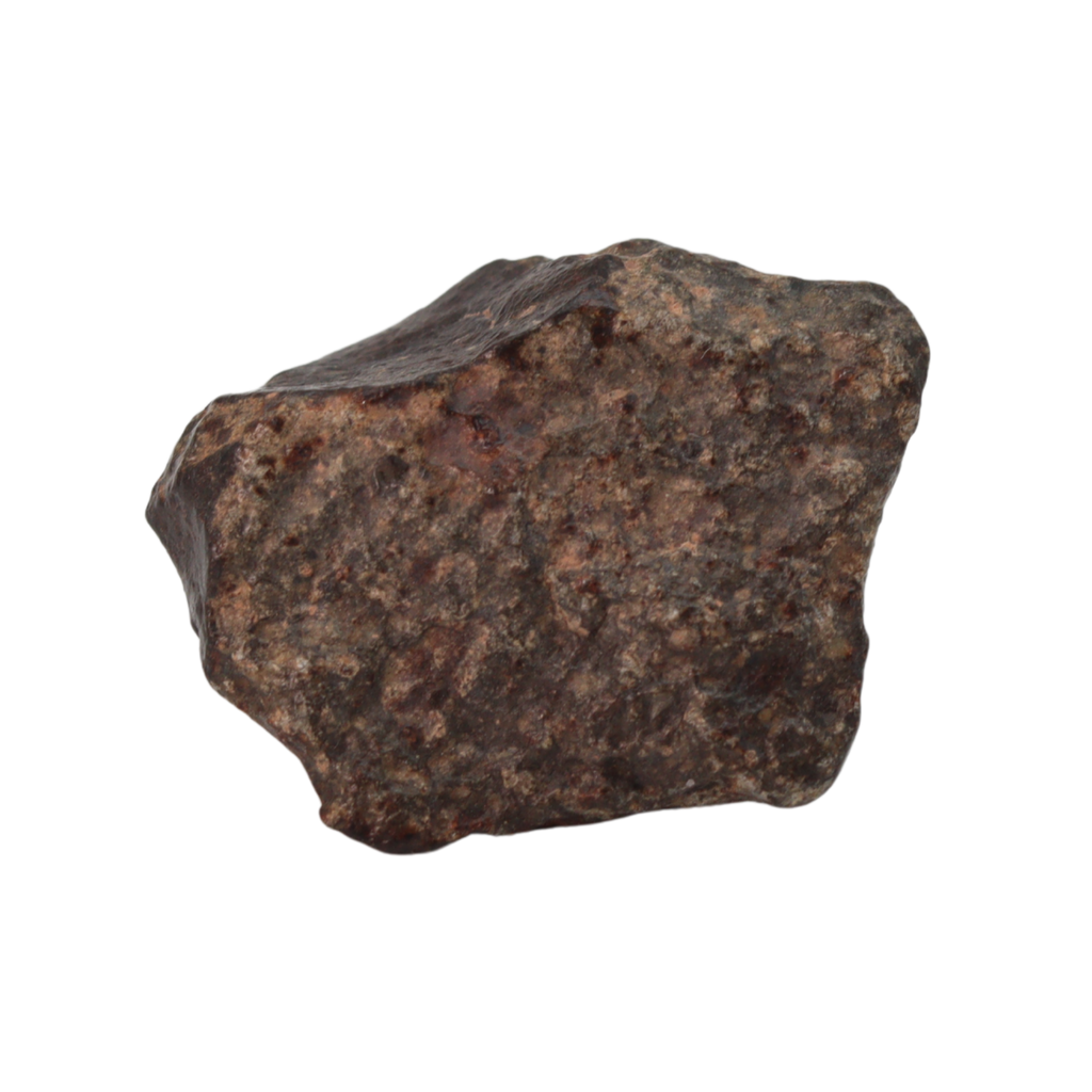 NWA 869 Meteorite Ordinary Chondrite Regolith Breccia (15.36 g) - MBS meteorite 