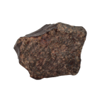 NWA 869 Meteorite Ordinary Chondrite Regolith Breccia (15.36 g) - MBS meteorite 