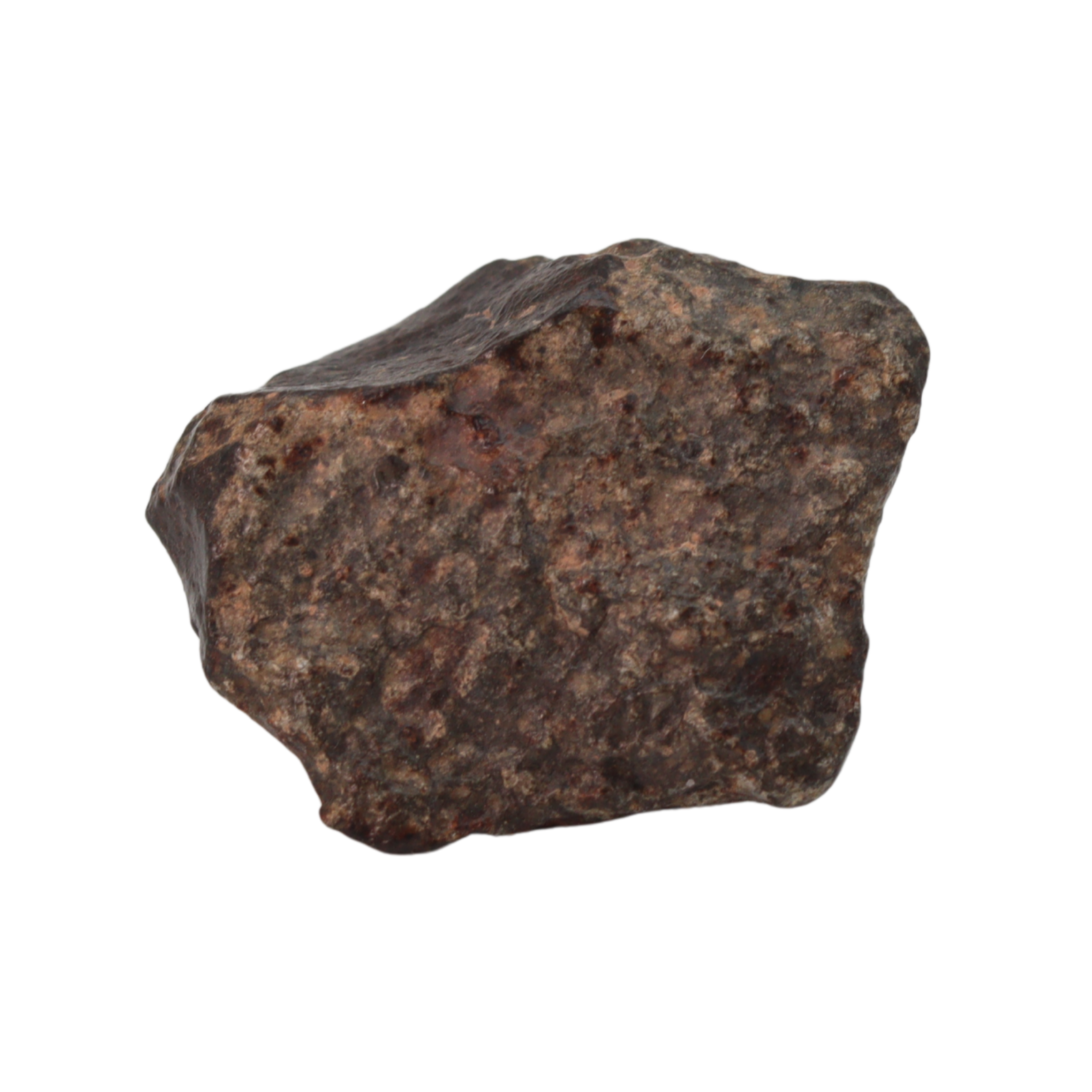 NWA 869 Meteorite Ordinary Chondrite Regolith Breccia (15.36 g) - MBS meteorite 
