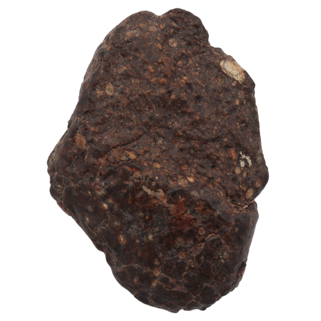 Erg Chech 008 Meteorite Carbonaceous Chondrite CR2 57.5 g. - MBS meteorite 