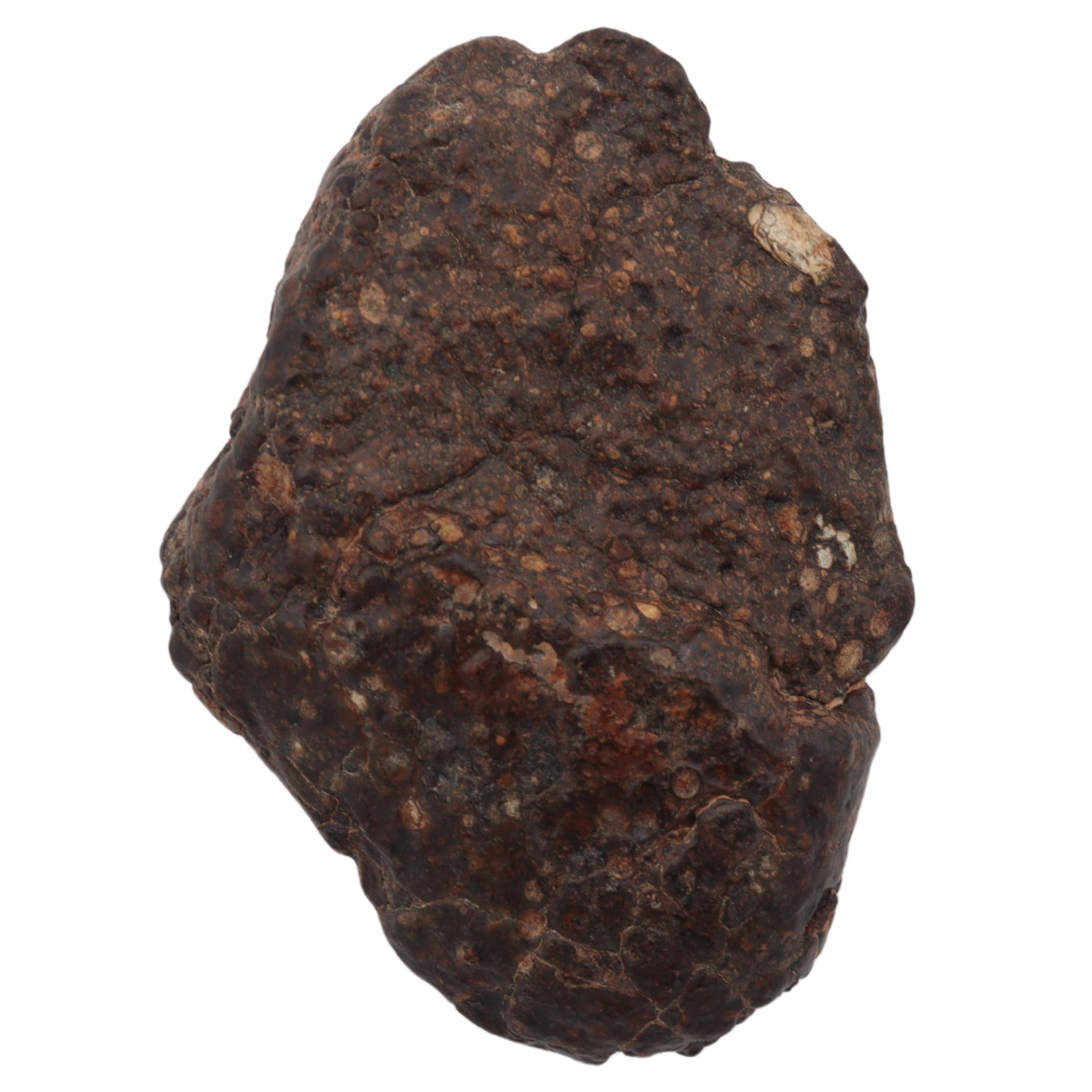Erg Chech 008 Meteorite Carbonaceous Chondrite CR2 57.5 g. - MBS meteorite 