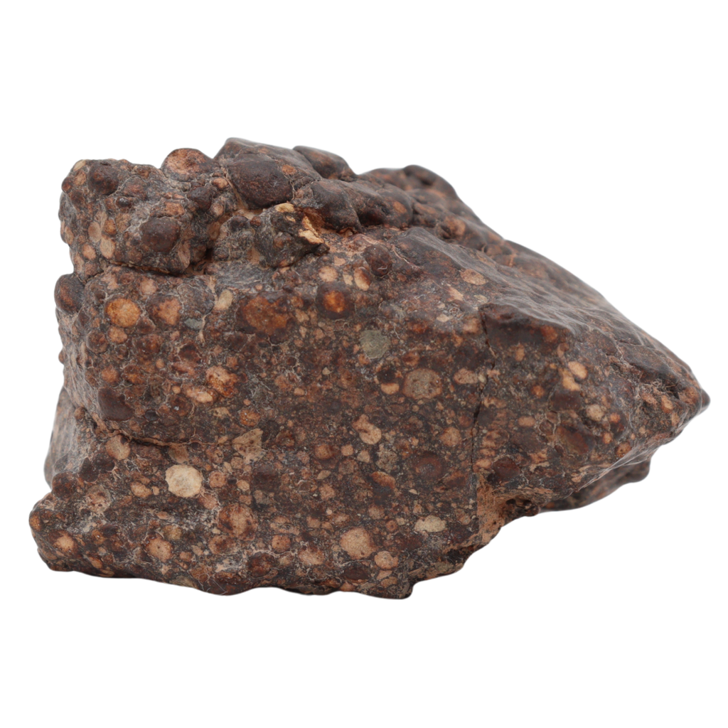Erg Chech 008 Meteorite Carbonaceous Chondrite CR2 38.9 g - MBS meteorite 