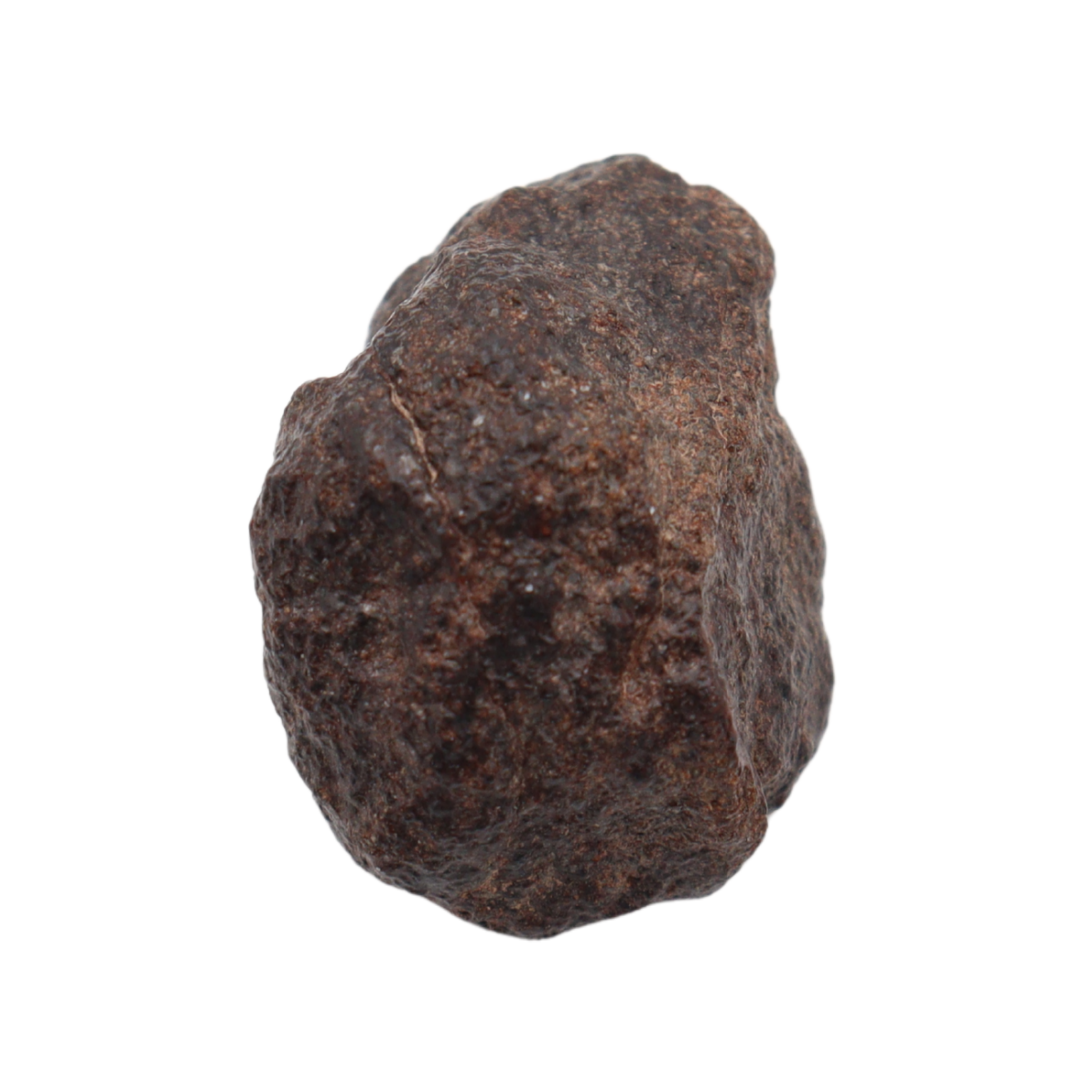 NWA 16208 Meteorite Winonaite Primitive Achondrite (6 g). - MBS meteorite 