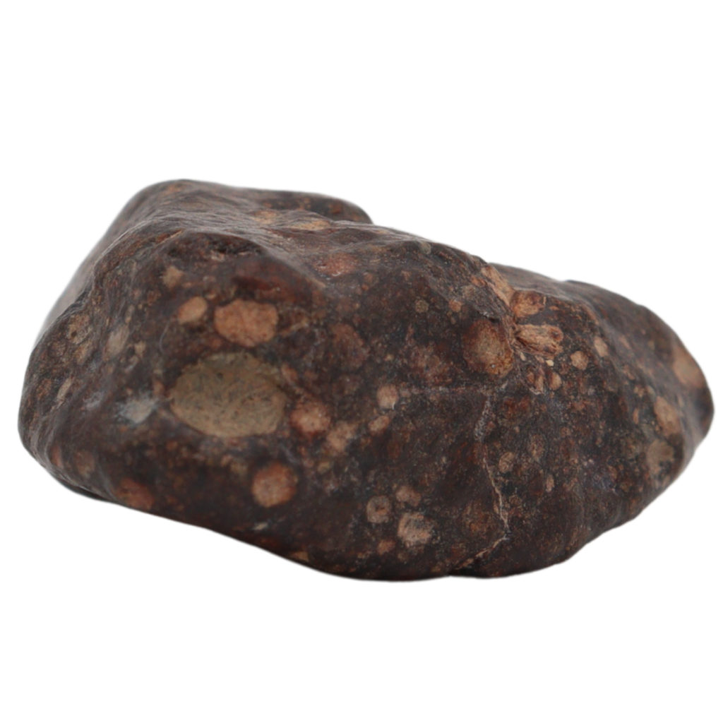 Erg Chech 008 Meteorite CR2 Carbonaceous Chondrite (10.8 g). - MBS meteorite 