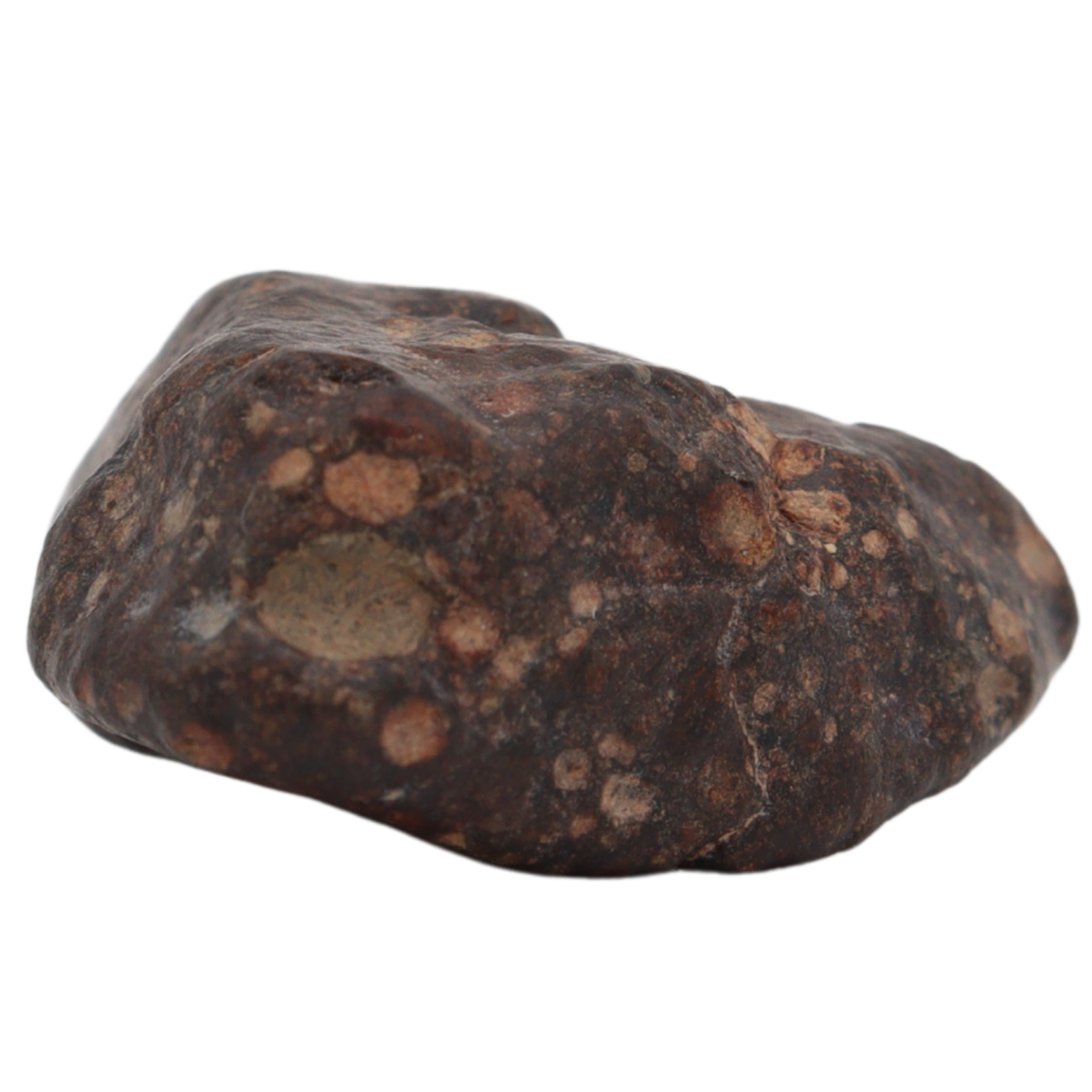 Erg Chech 008 Meteorite CR2 Carbonaceous Chondrite (10.8 g). - MBS meteorite 