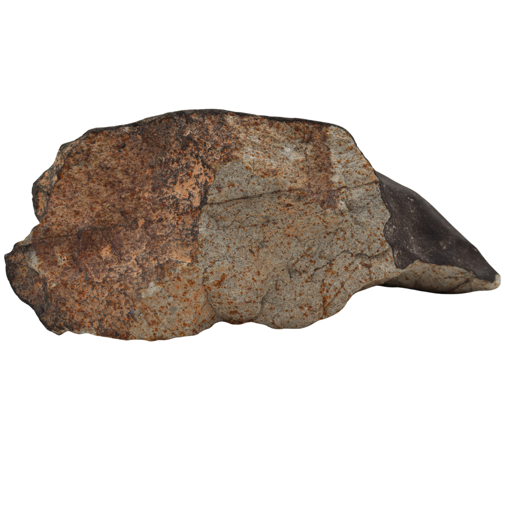 Tanezrouft 090 Meteorite Ordinary Chondrite L6 (1742 g) - MBS meteorite 