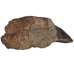 Tanezrouft 090 Meteorite Ordinary Chondrite L6 (1742 g) - MBS meteorite 