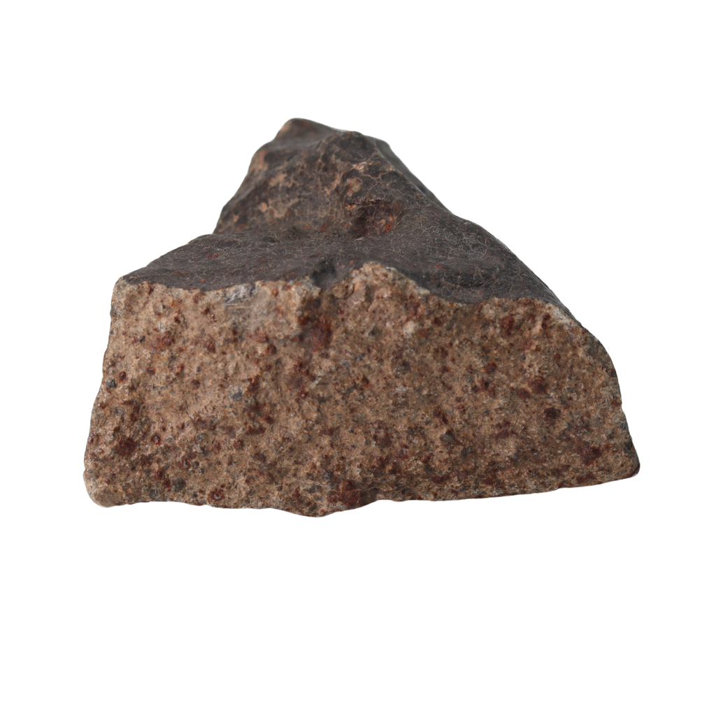 NWA 13281 Meteorite Ordinary Chondrite L5 (219 g) - MBS meteorite 