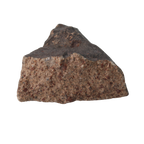 NWA 13281 Meteorite Ordinary Chondrite L5 (219 g) - MBS meteorite 