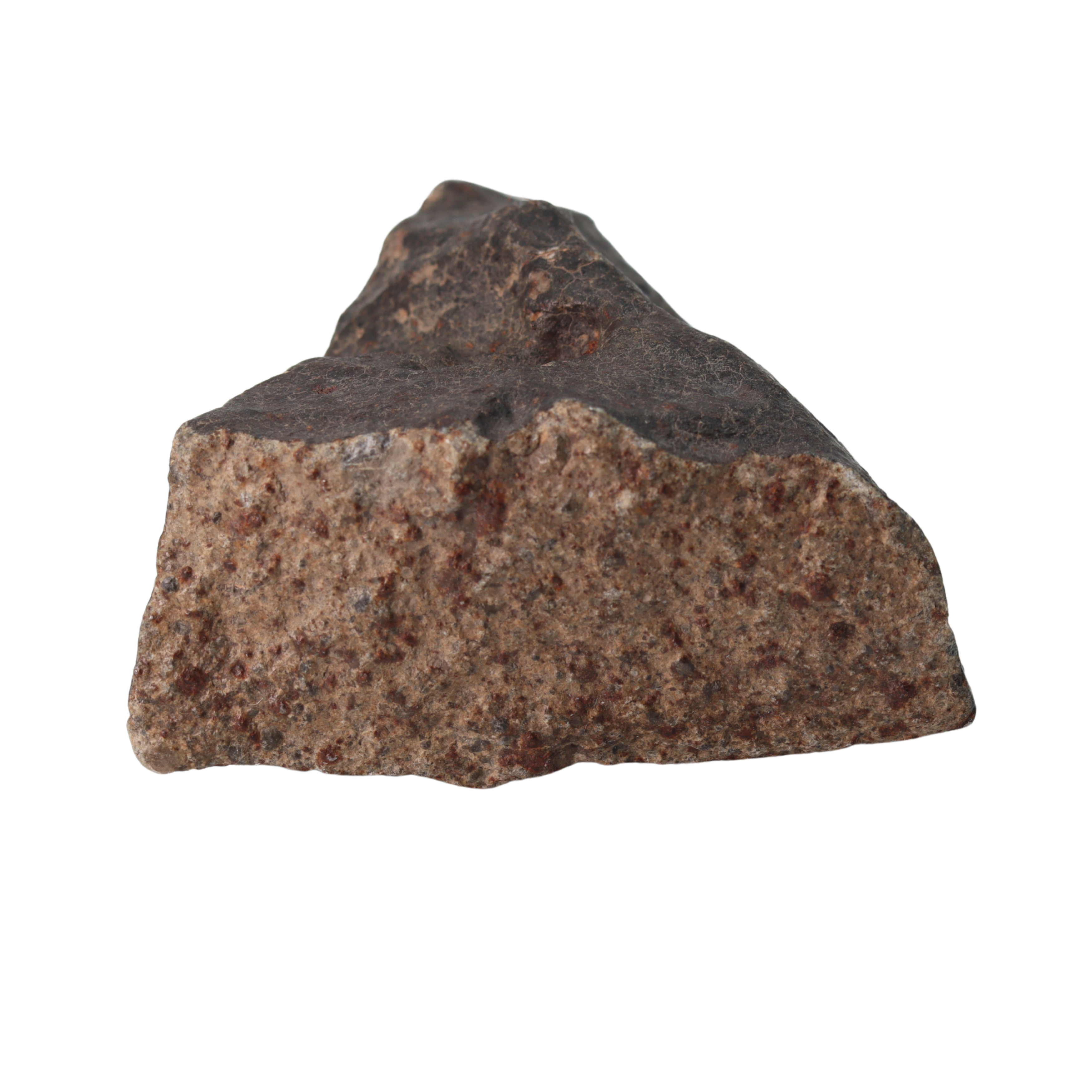 NWA 13281 Meteorite Ordinary Chondrite L5 (219 g) - MBS meteorite 