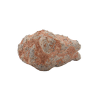 Bechar 003 Meteorite Lunar Feldspathic Breccia (3.8 g). - MBS meteorite 