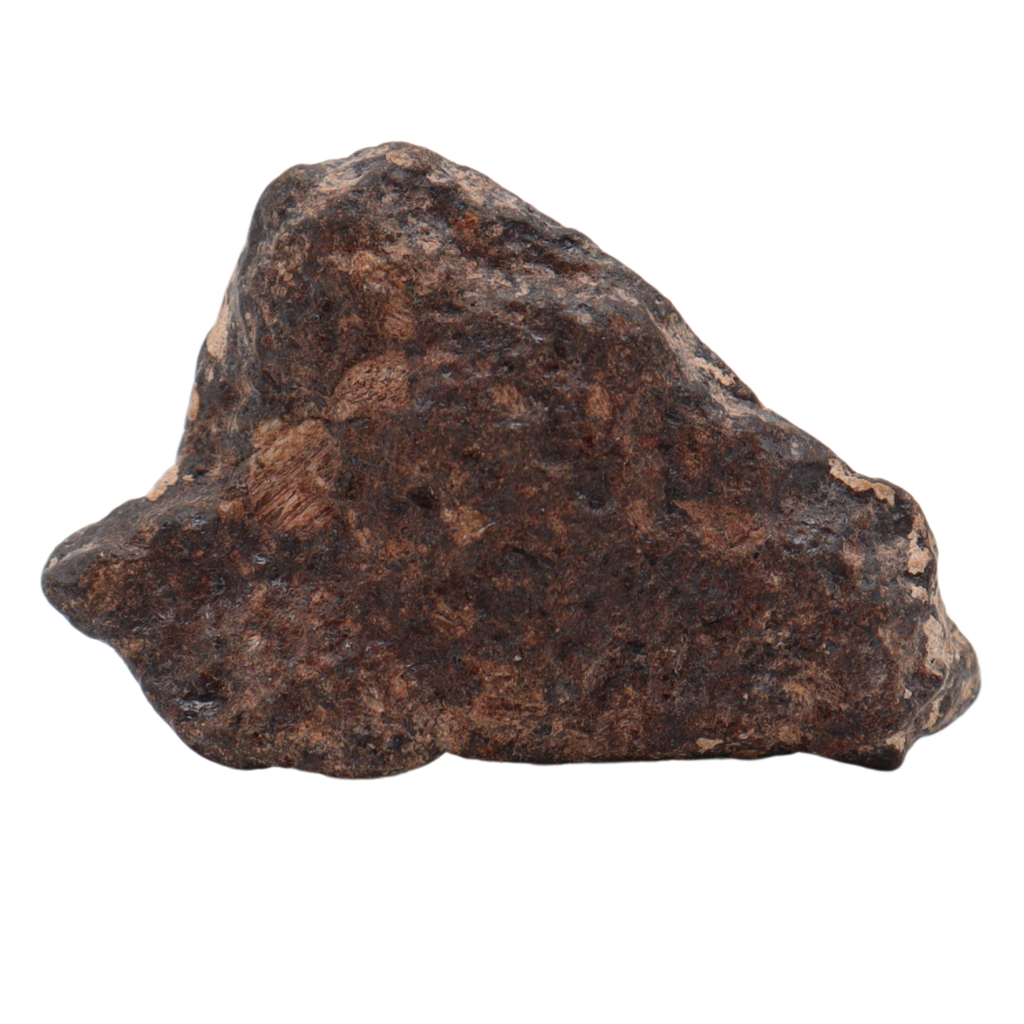 Rafsa 007 Meteorite Plutonic Angrite (10.8 g) - MBS meteorite 