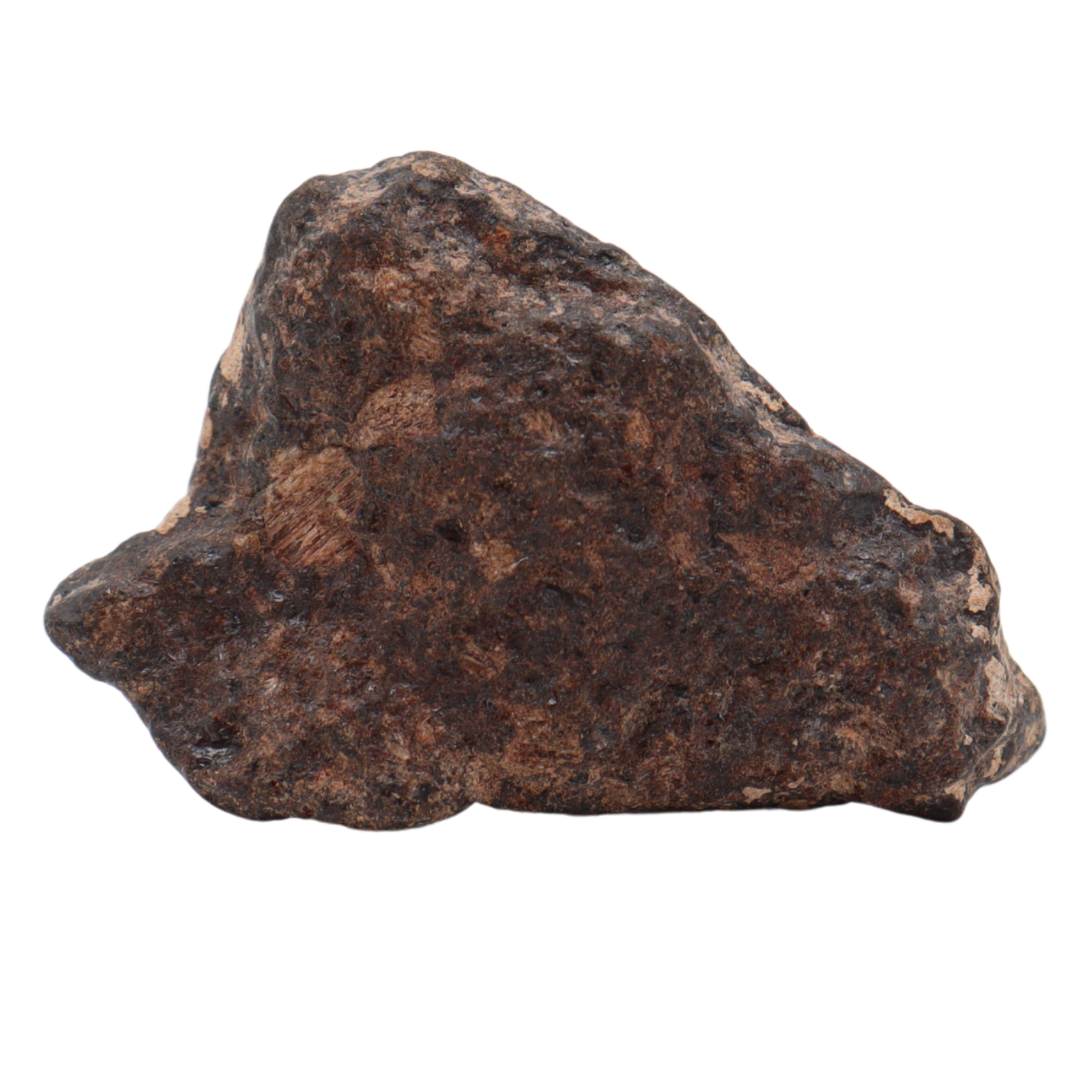 Rafsa 007 Meteorite Plutonic Angrite (10.8 g) - MBS meteorite 